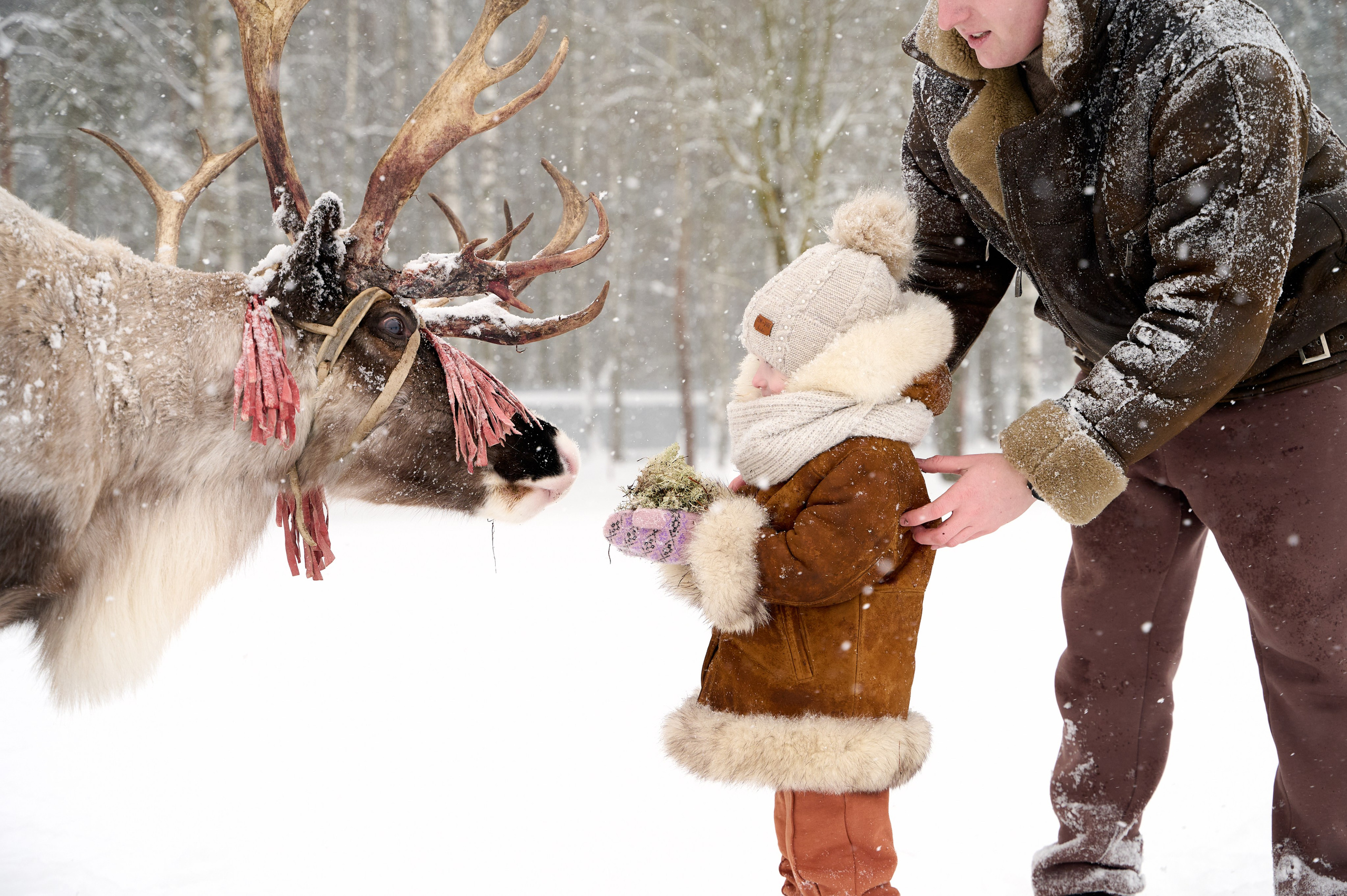 Дмитрий Тамара Ирина. Фотограф Егорьевск Коломна Воскресенск