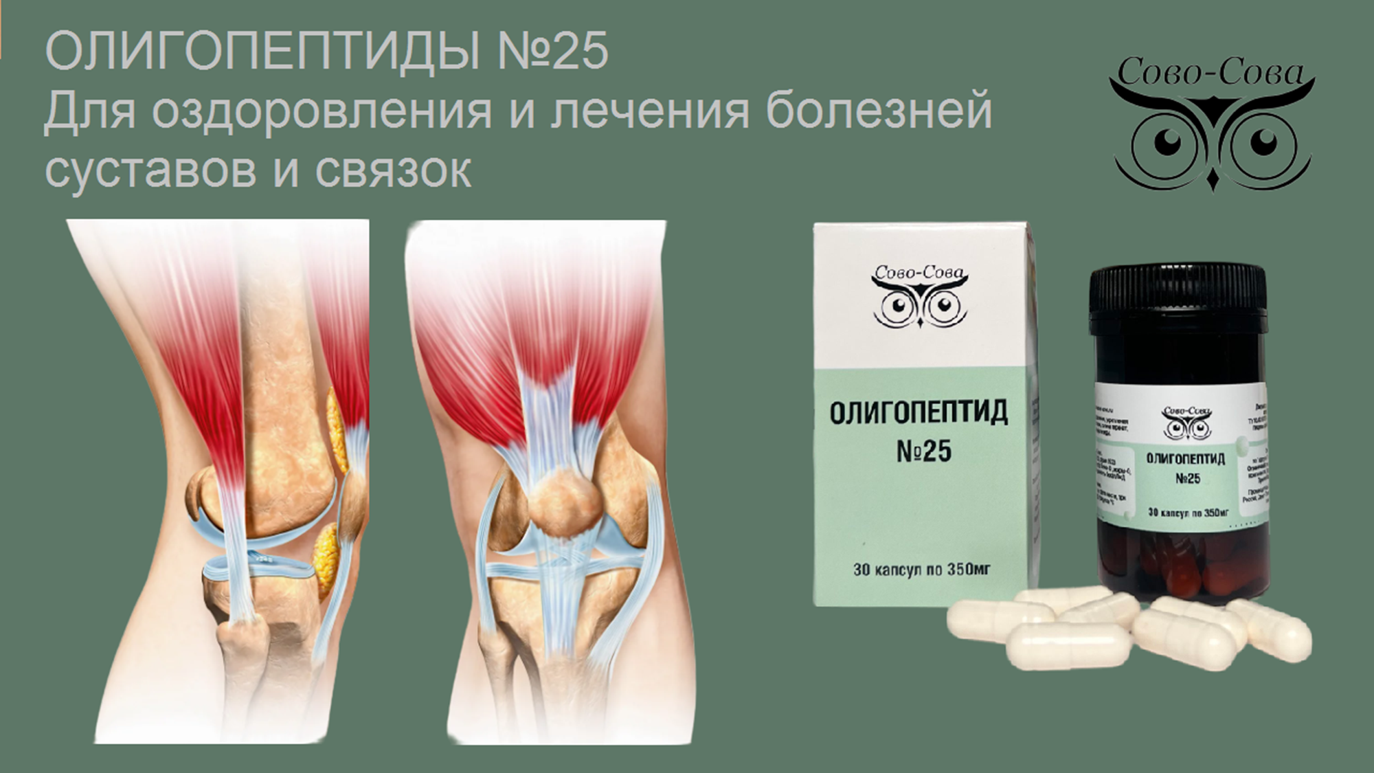 Олигопептид № 25 — Для оздоровления и лечения болезней суставов и связок