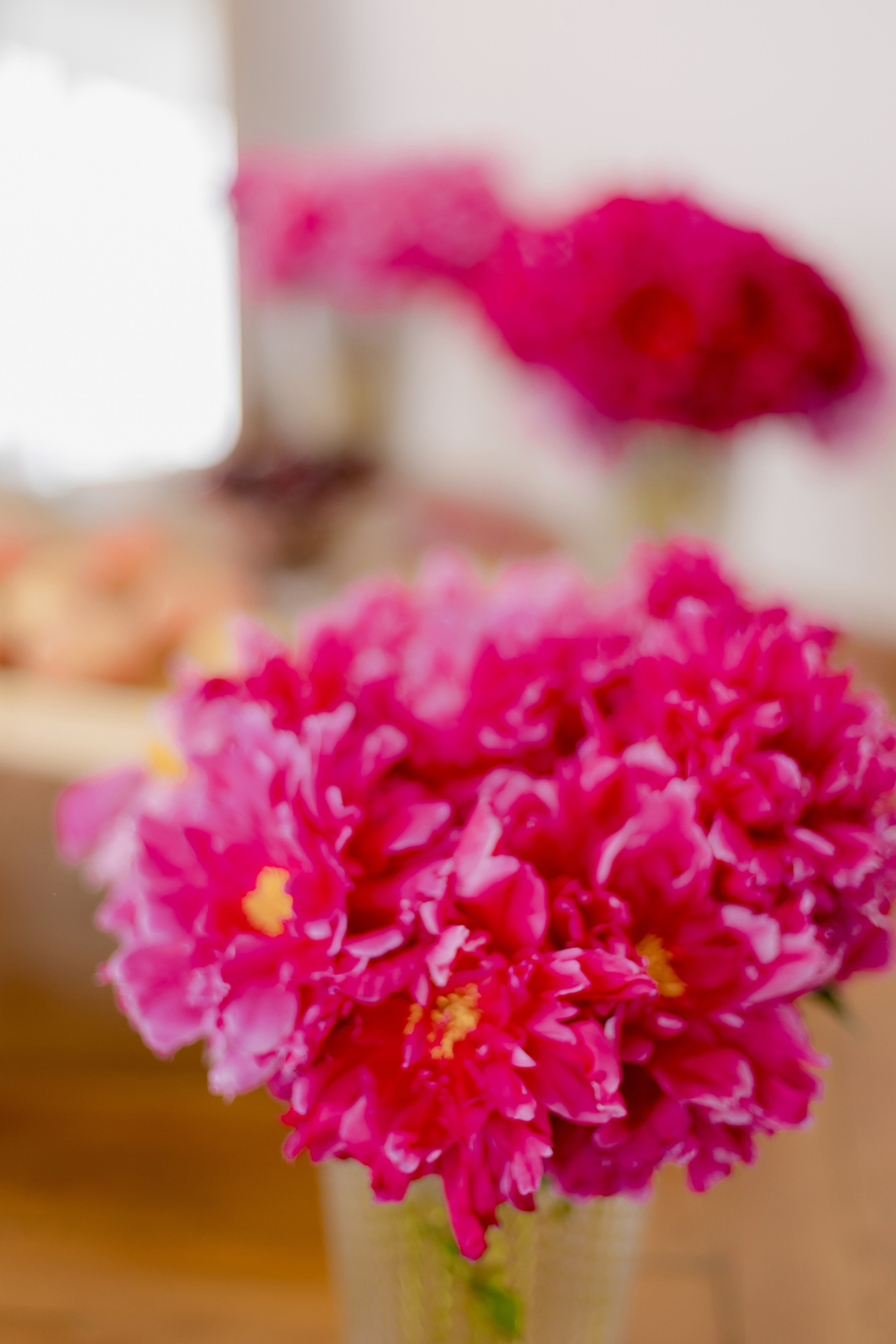 Варвара. Свадебный и портретный фотограф в Миассе Филиппенко Дарья