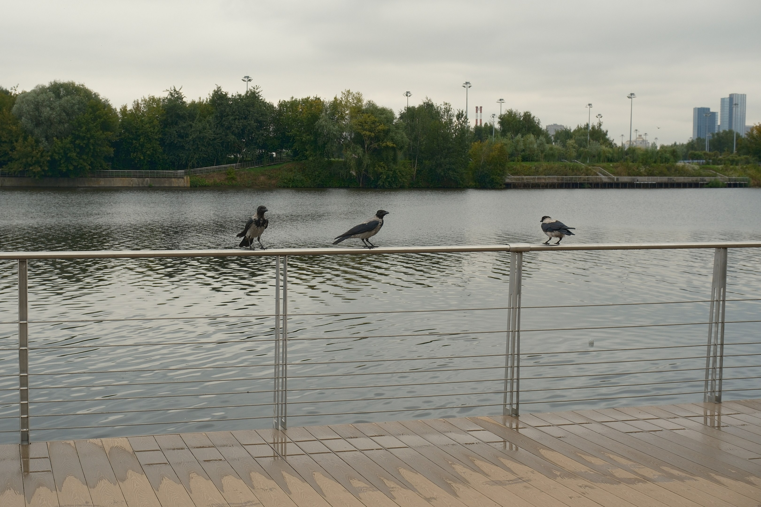 Август 2025. Улица, люди, жизнь…