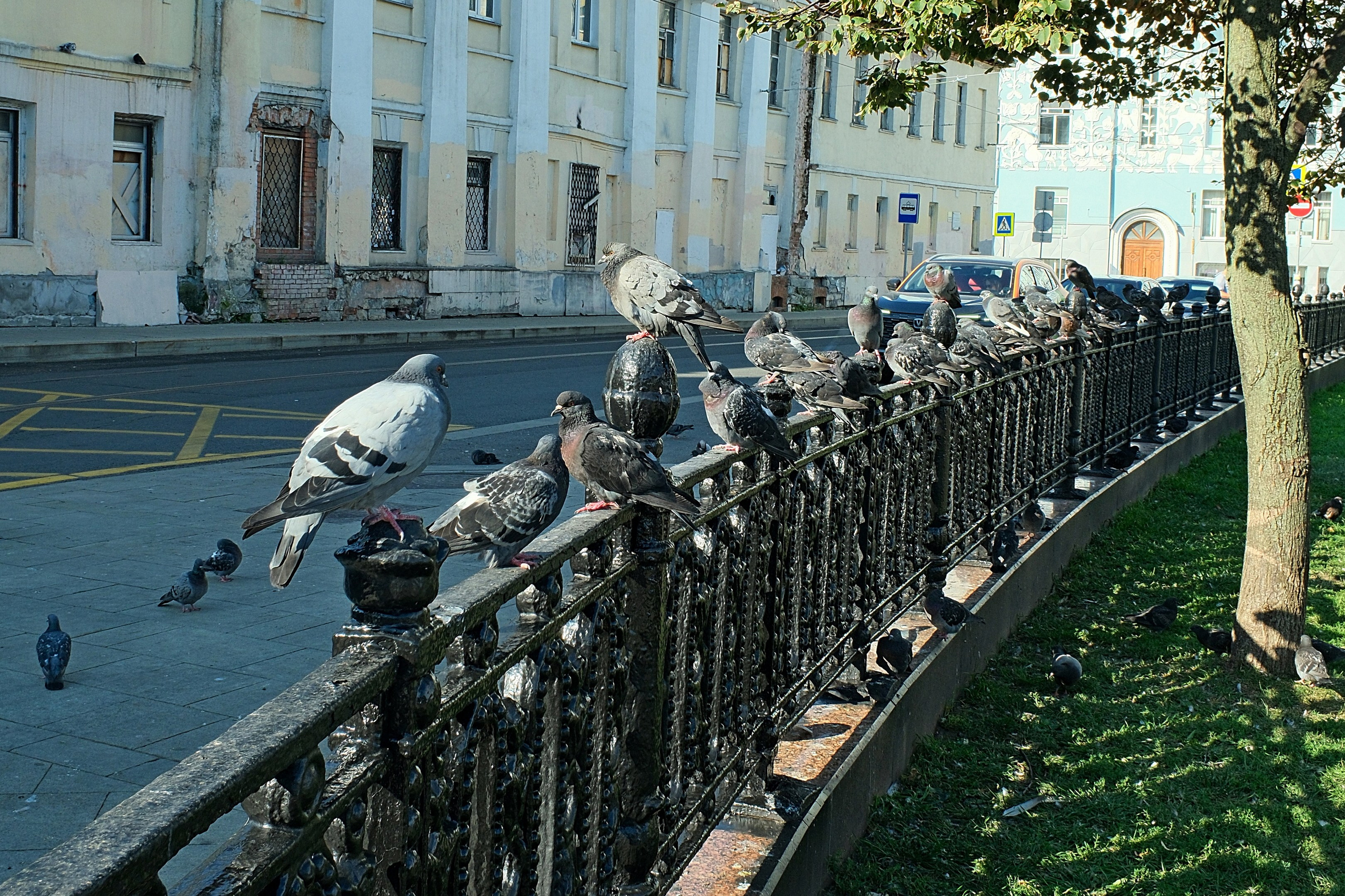 Улица, люди, жизнь…