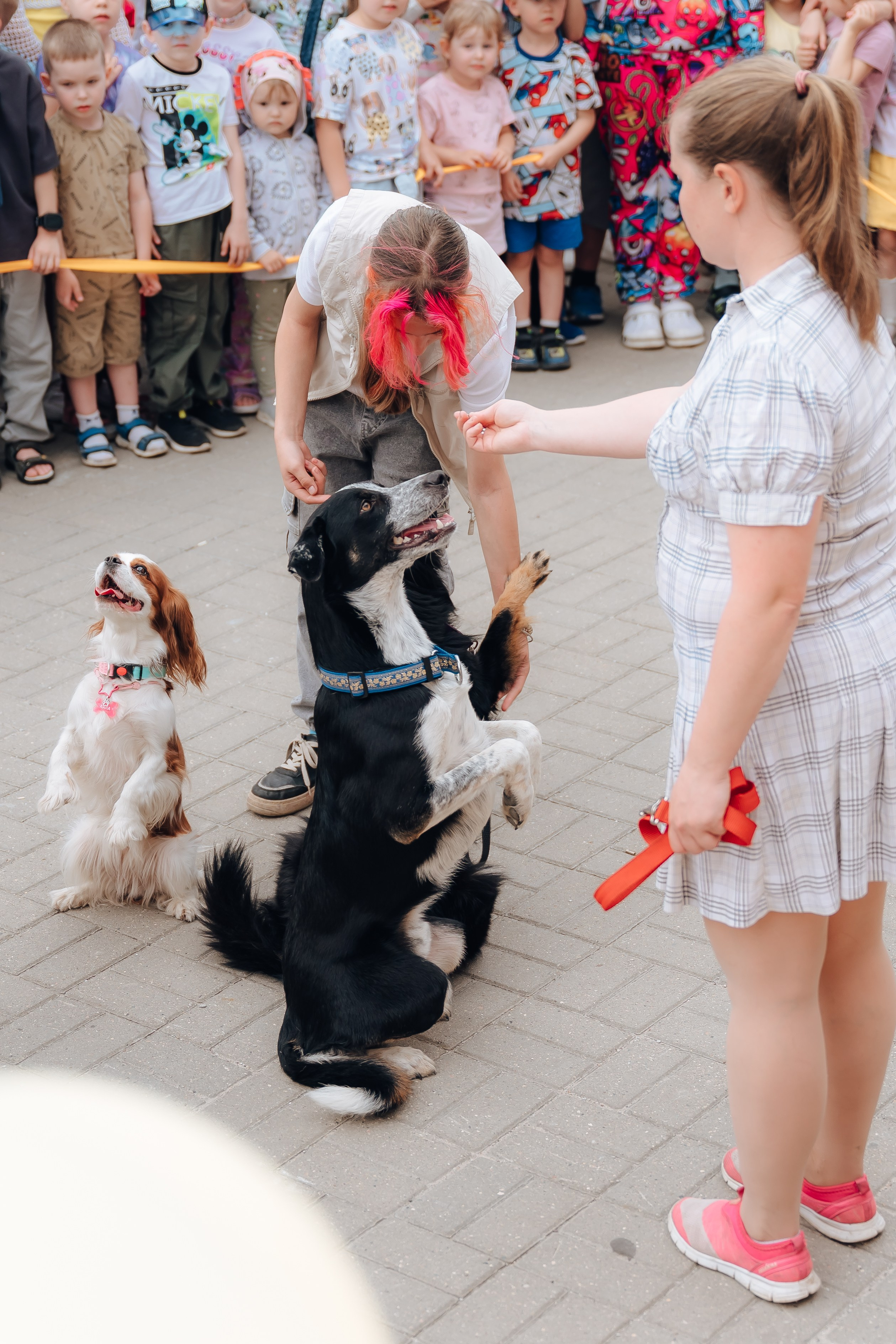Открытие Мультифокс. Детский и семейный фотограф Катерина Мишина