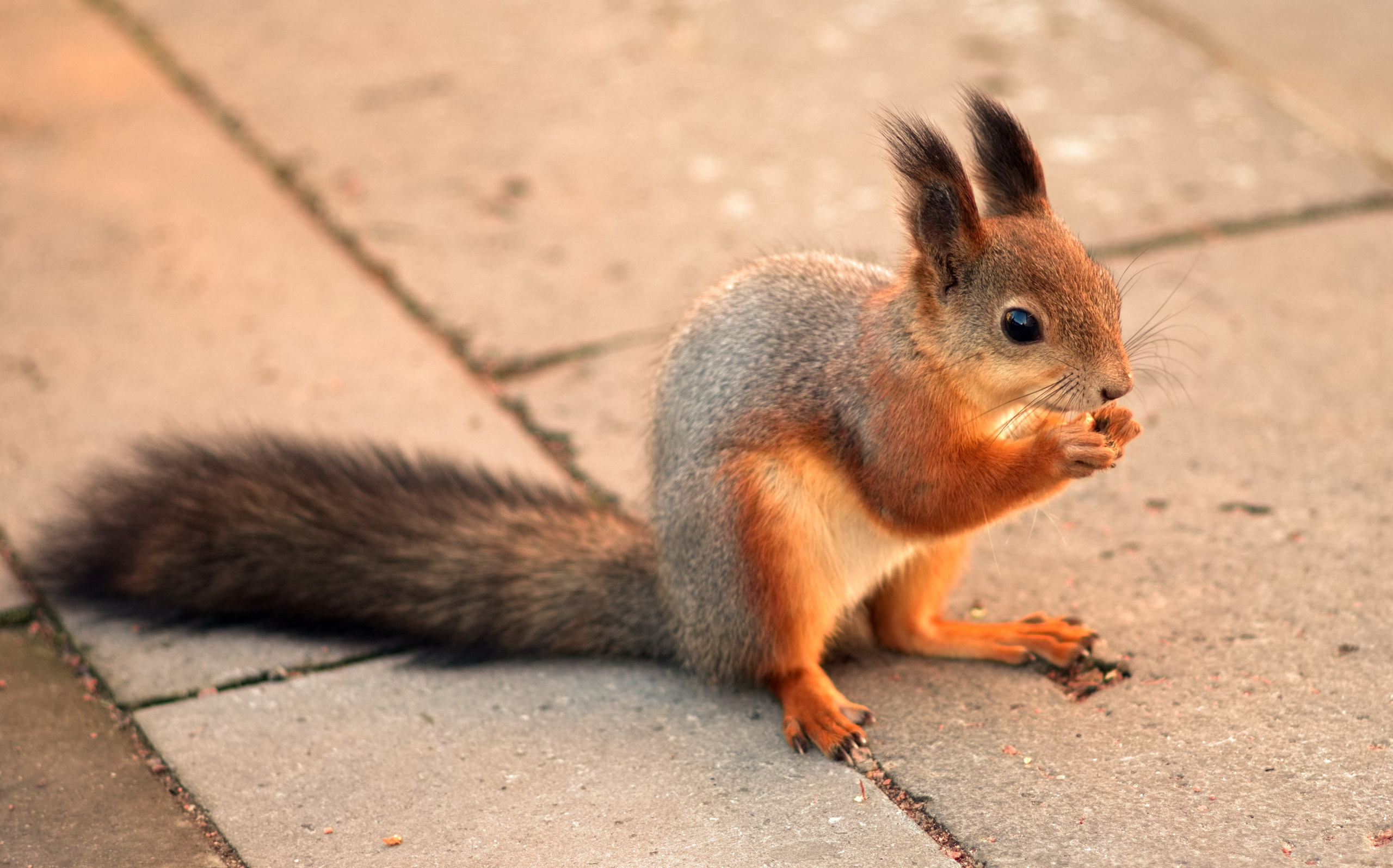 Лена с рябиной. Семейный и детский фотограф Антон Зорин