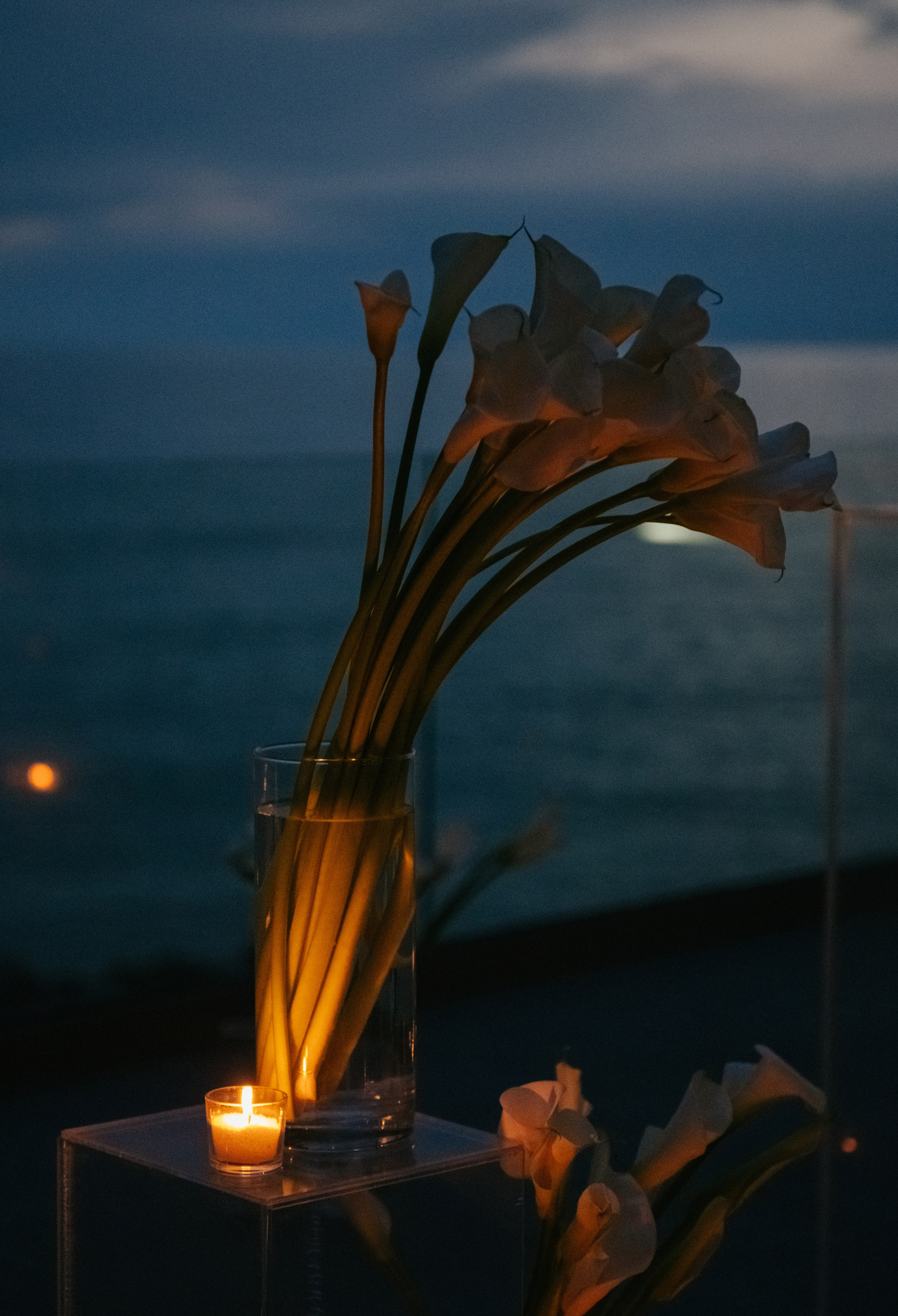 Никита и Анастасия (с.Николаевка). Свадебный, женский, семейный фотограф в Севастополе Юлия Мошенко