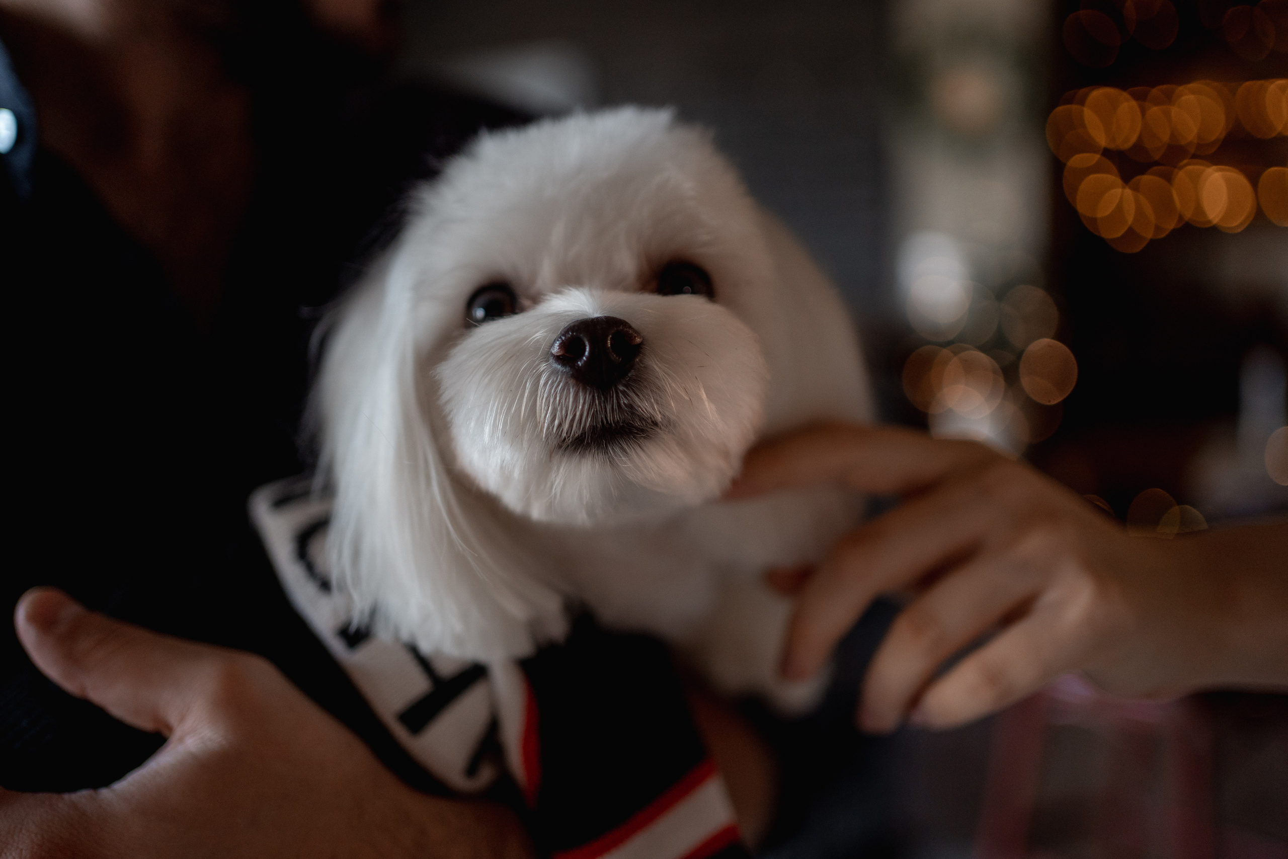 Семейная фотосессия. Свадебный и семейный фотограф в Анапе Елена Полетаева