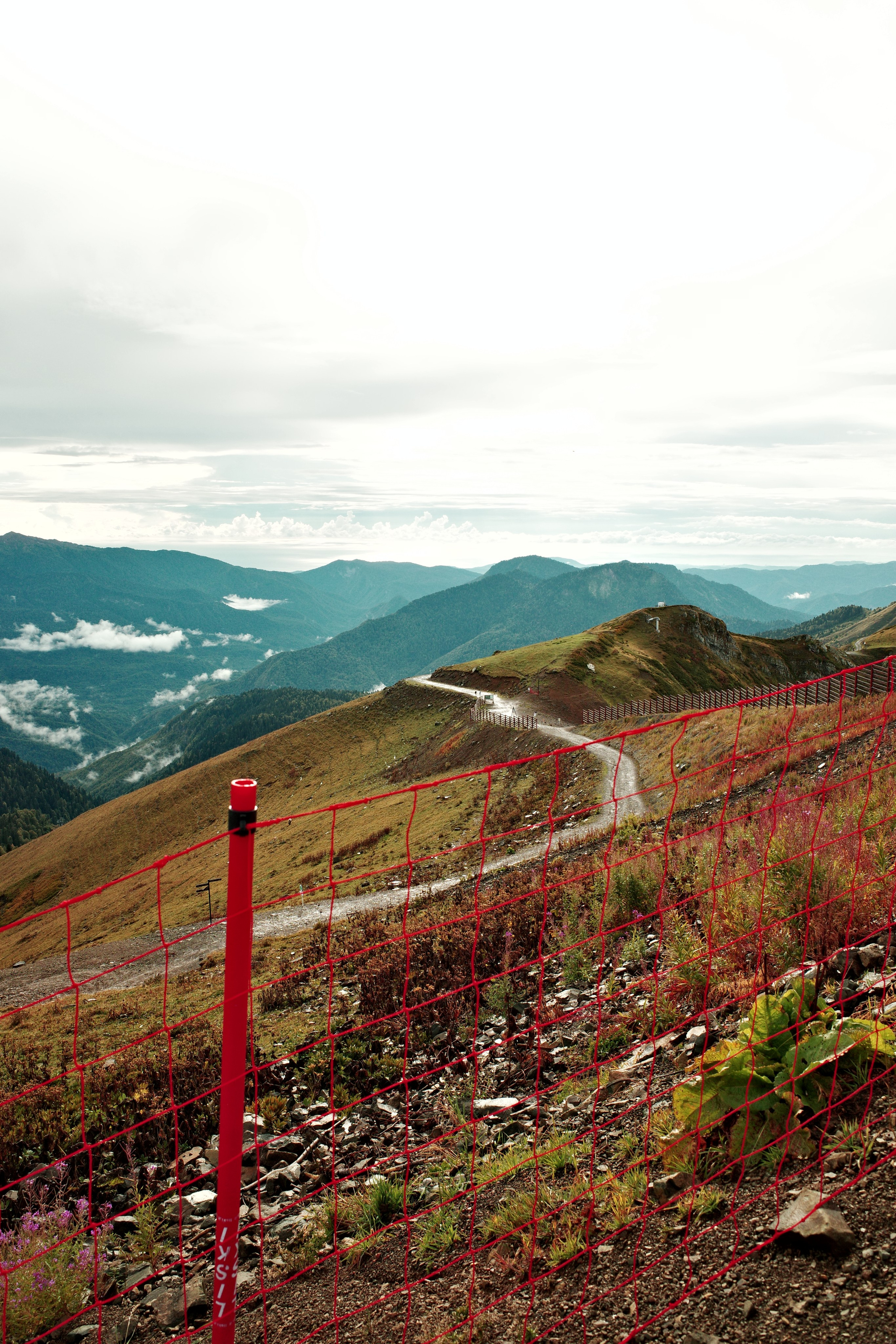 CAUCASUS MOUNTAINS. Anne Demia