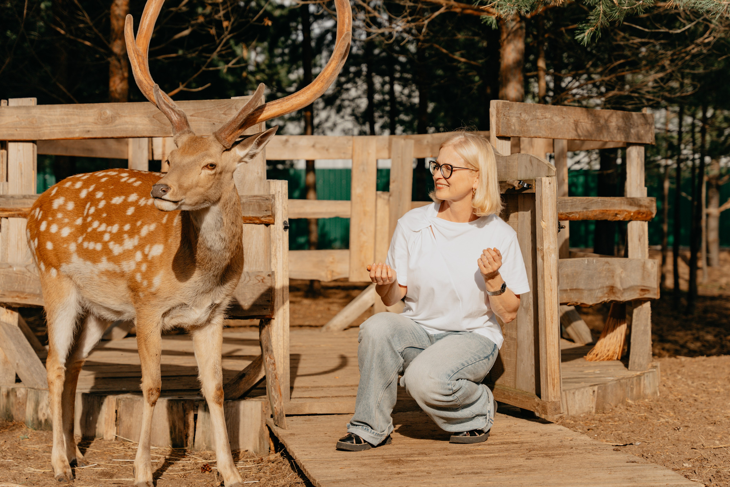 В гости к оленям