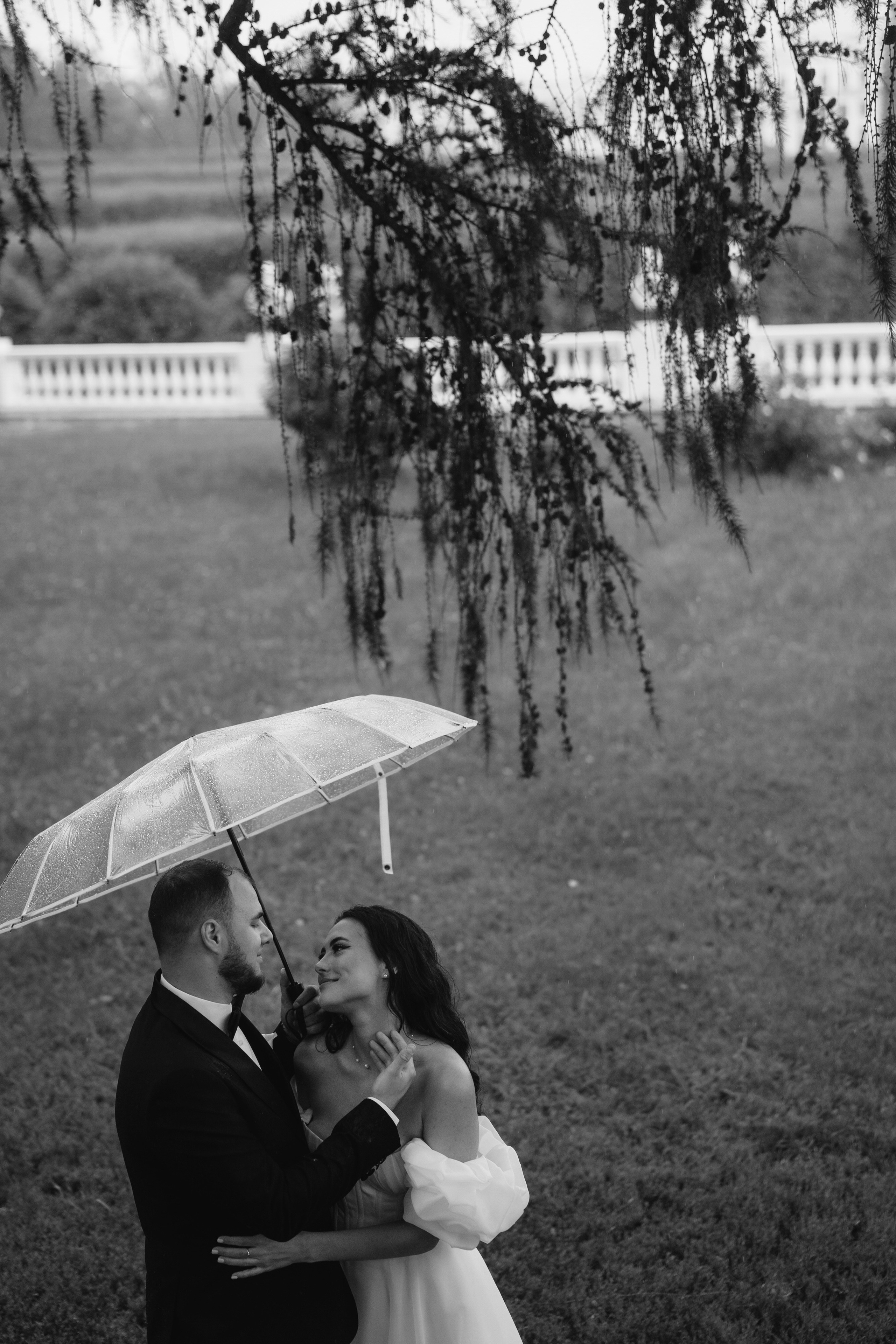 Маргарита и Артур. Фотограф анималист в Москве и Санкт-Петербурге Свиридова Анна