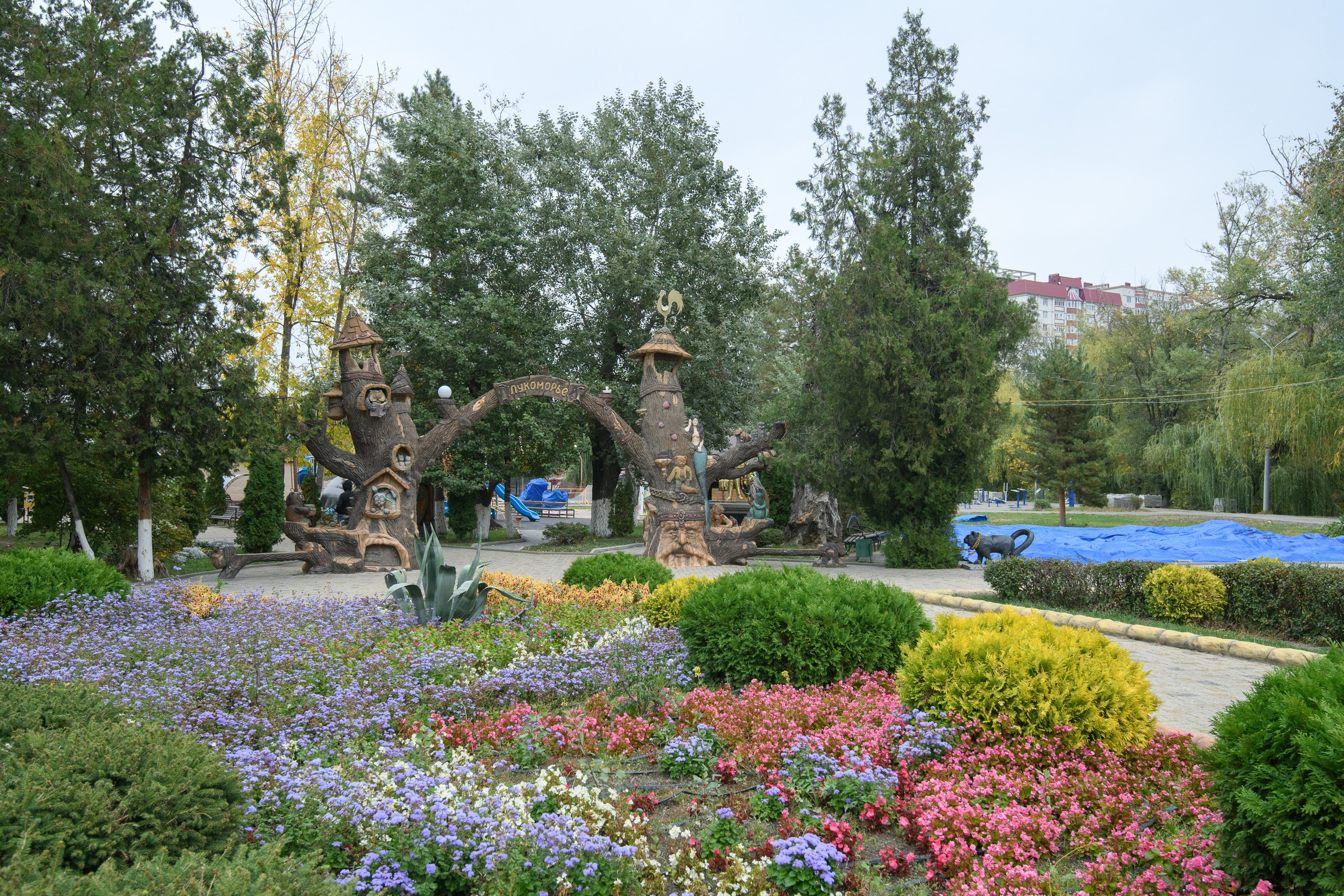 Черкесск. Профессиональная фотосъемка. Ростов-на-Дону