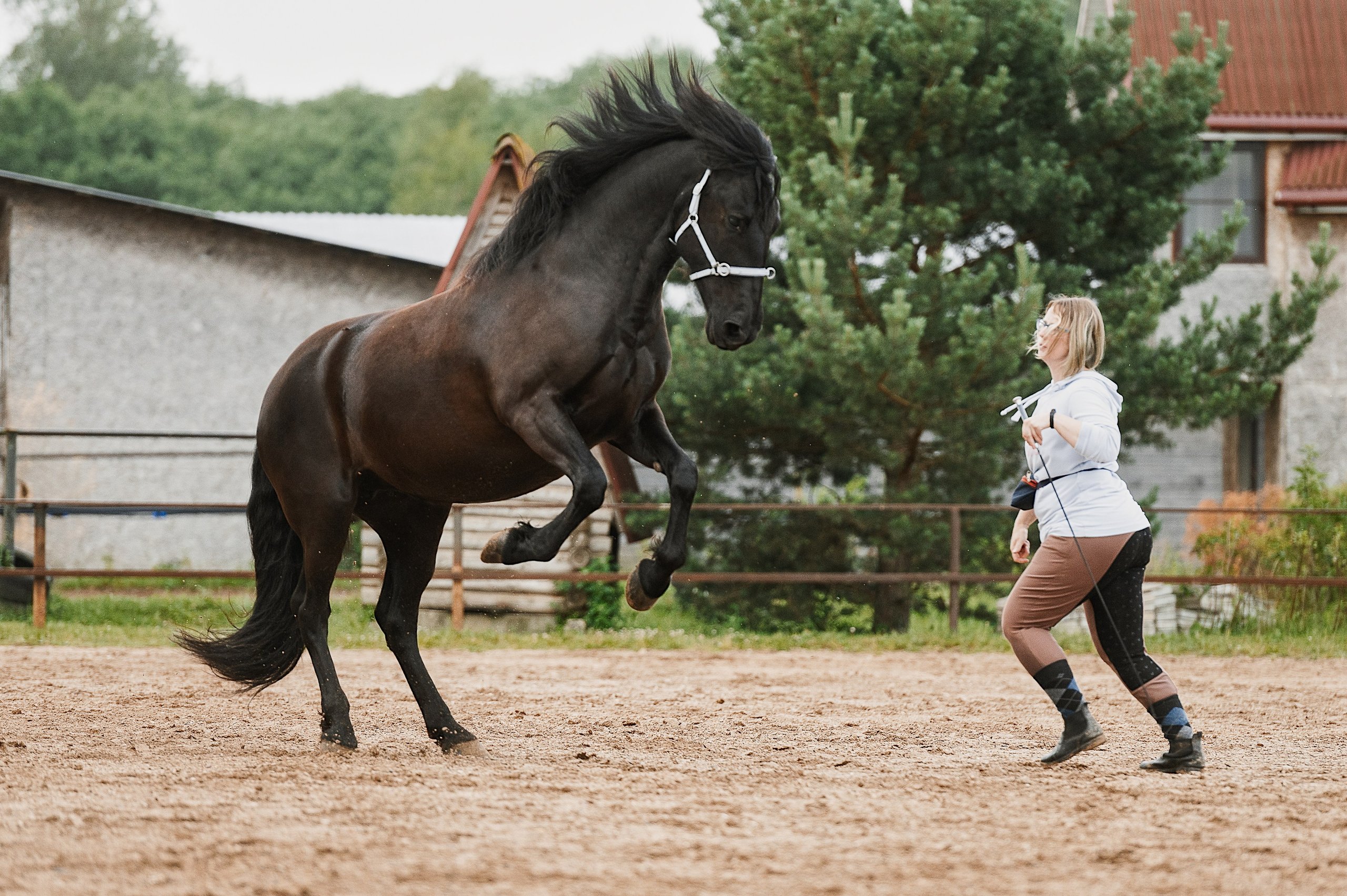 Мара. Фотограф-анималист