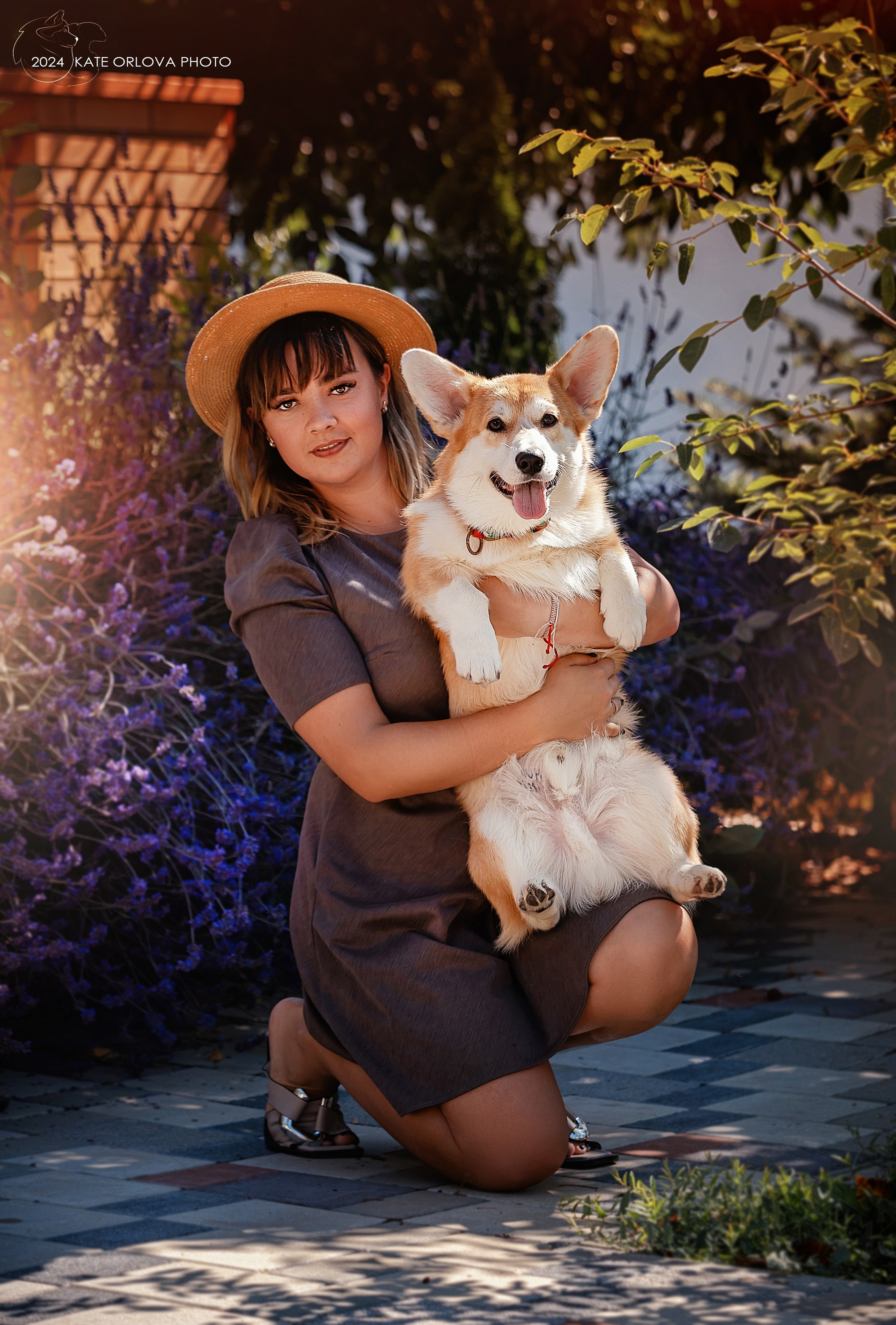 Фотосъемка собак, щенков, на выставках, фотограф анималист Россия воронеж. Питомник собак Акита, Хаски, Корги