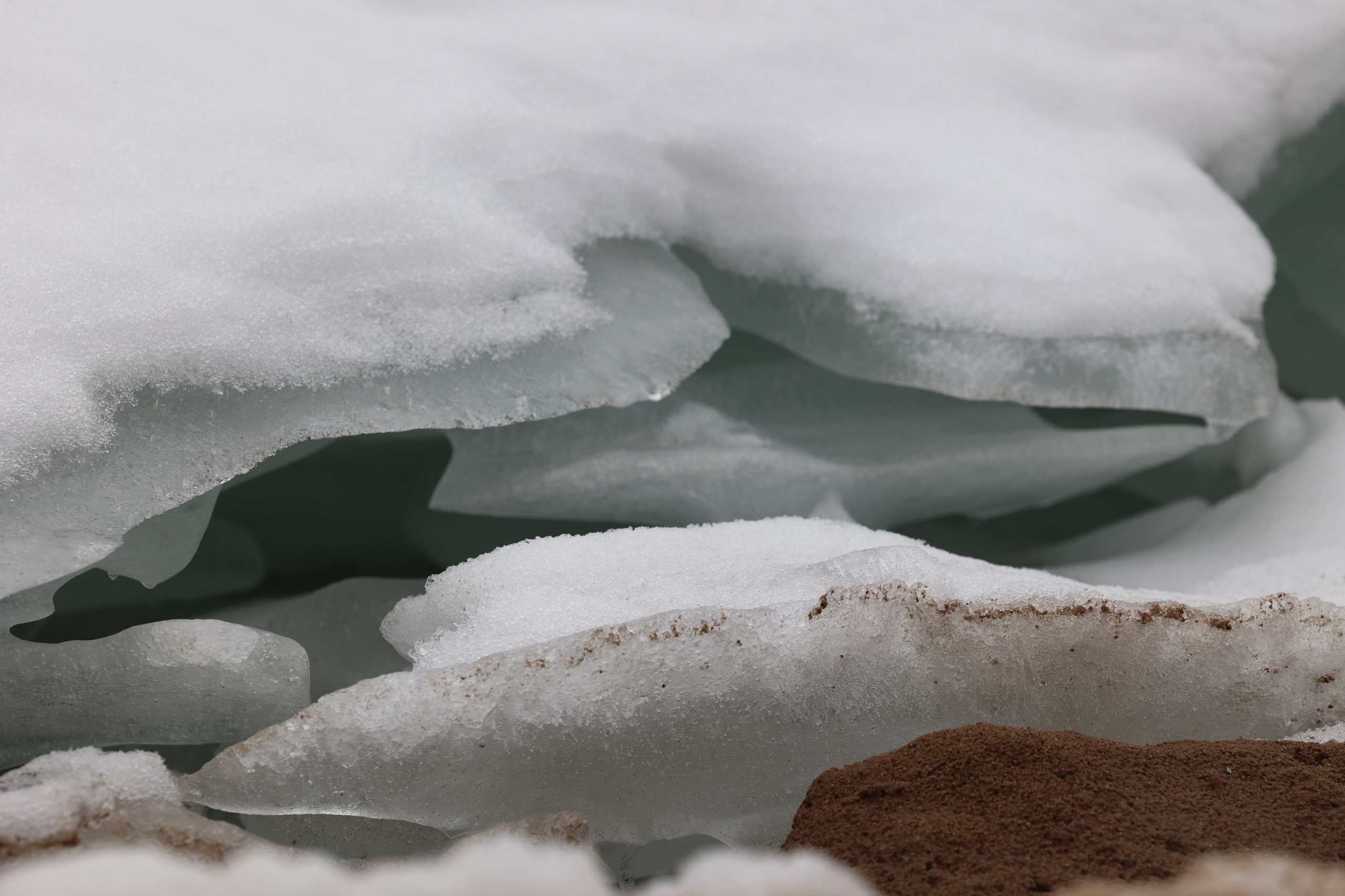 Любимое. Фотограф в Санкт-Петербурге Анна Сосновская
