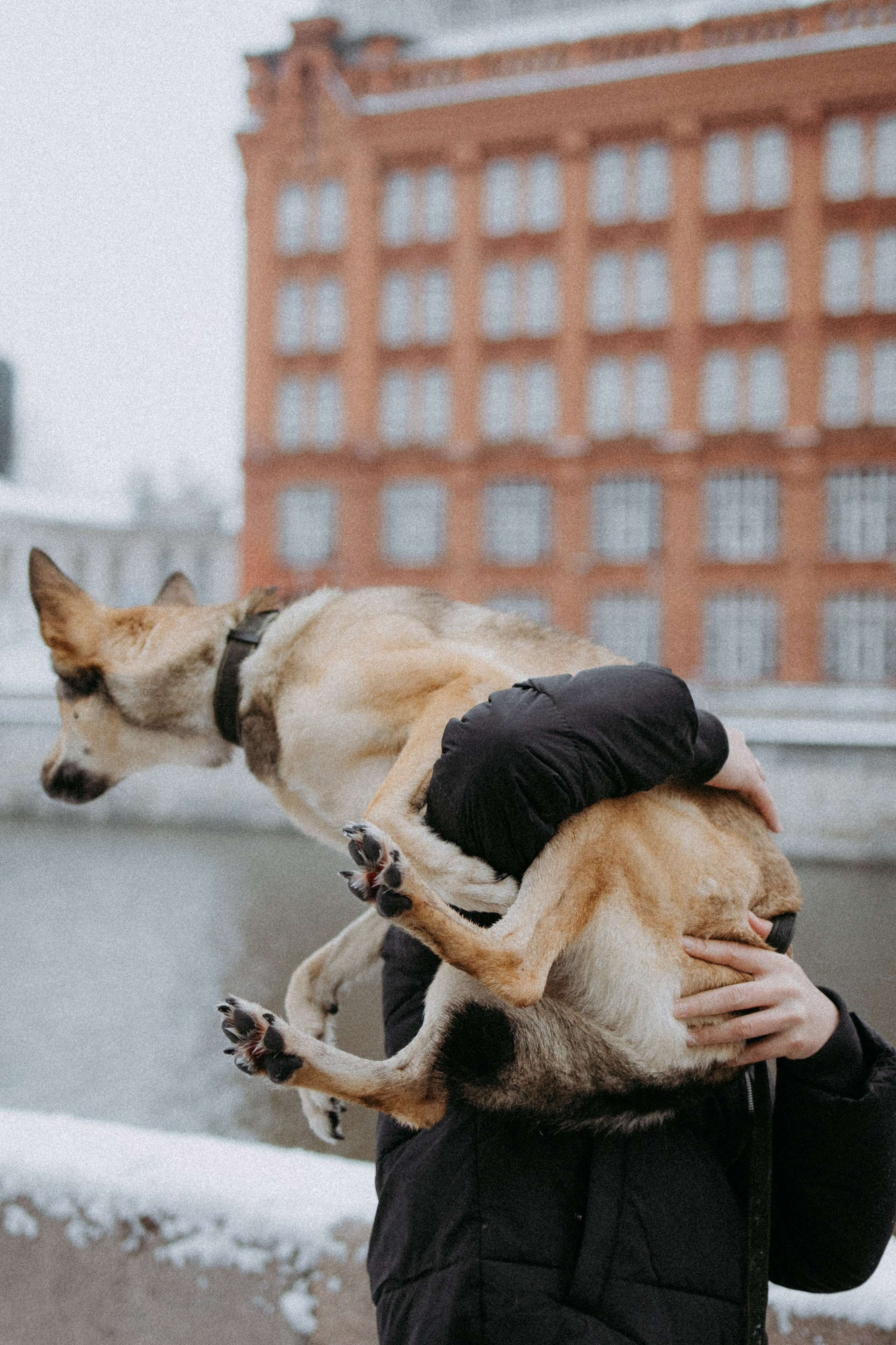 Саша, Ксюша и их банда. Фотораф — анималист Мария Шистка
