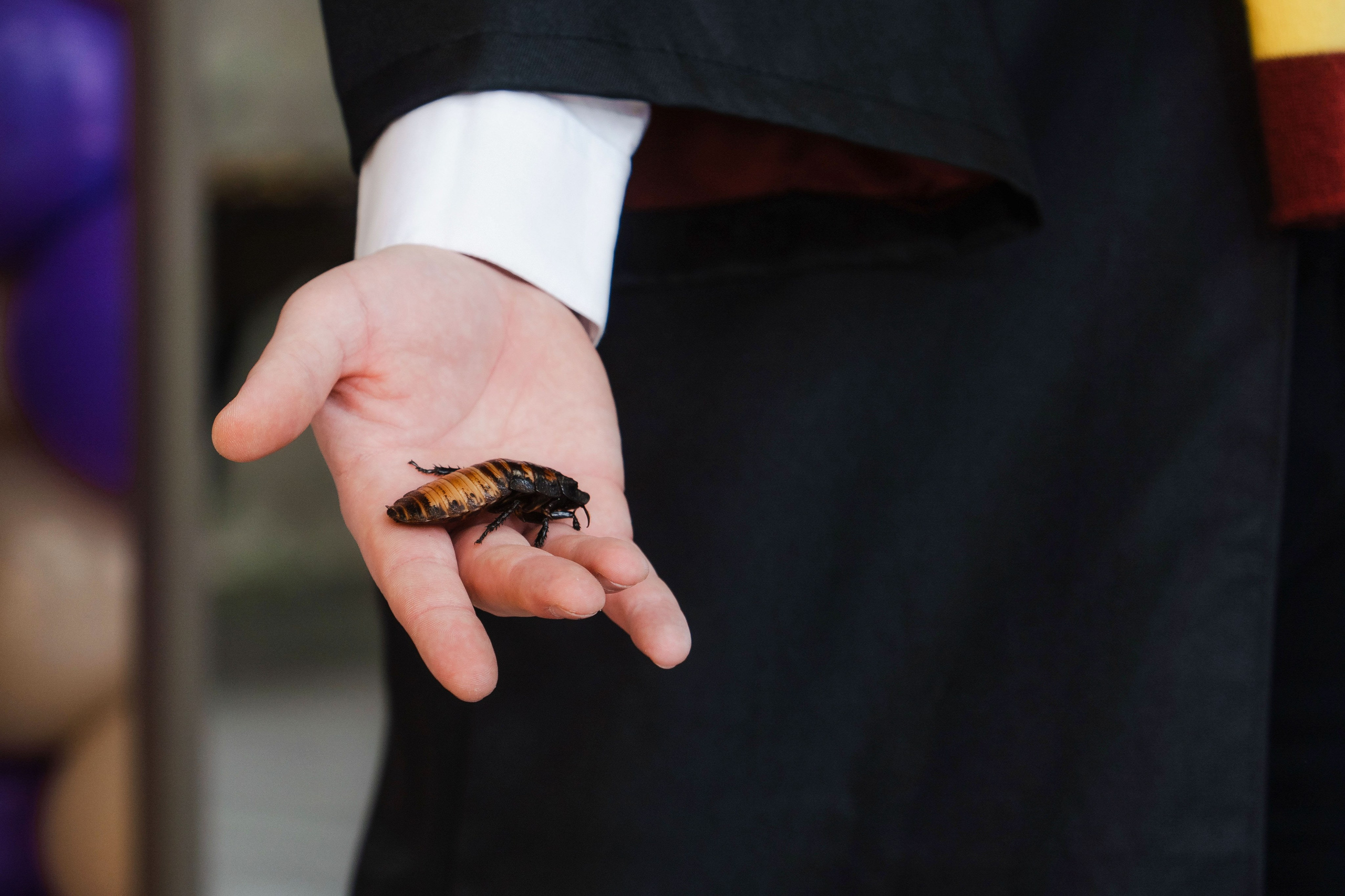 День рождения Тёмы. Свадебный и семейный фотограф в Санкт-Петербурге Виктор Голубев