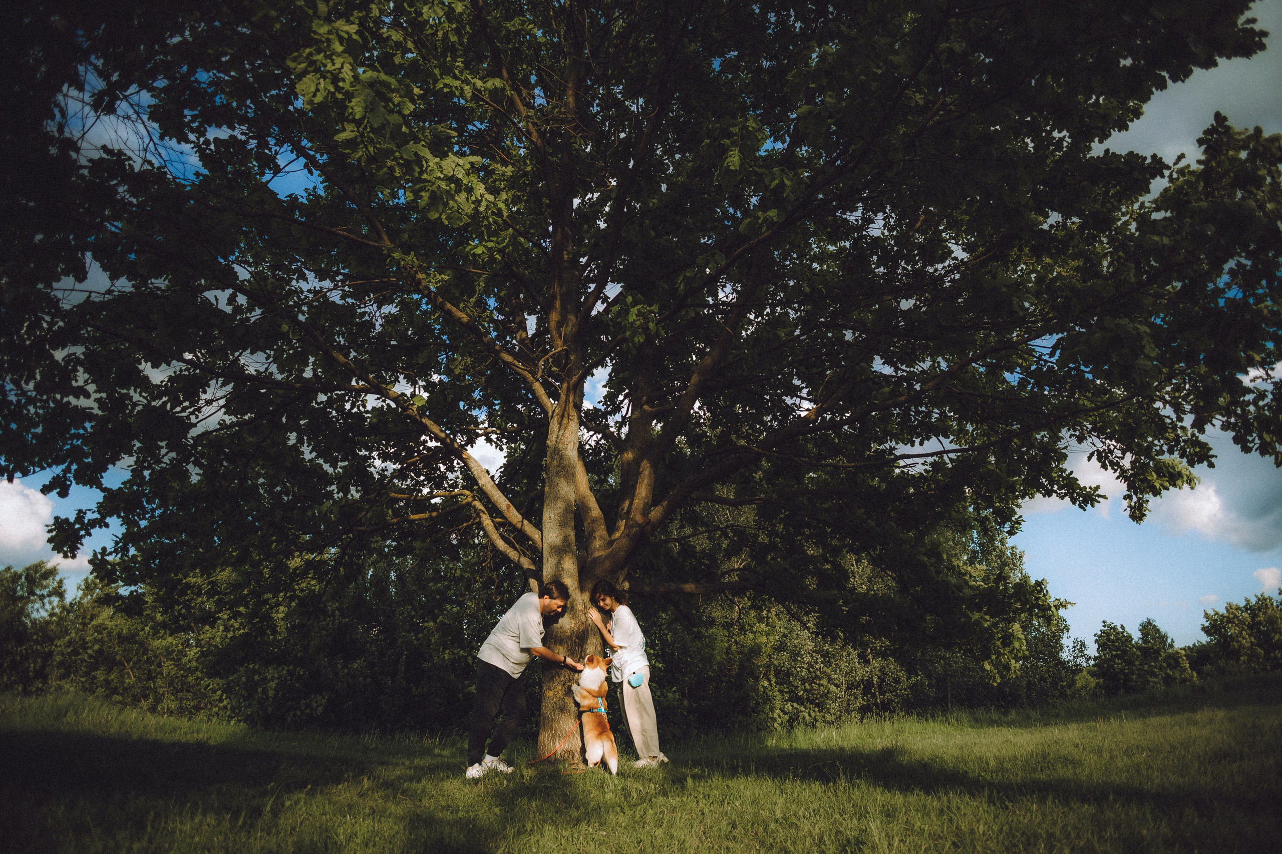 Вирджик и его семья