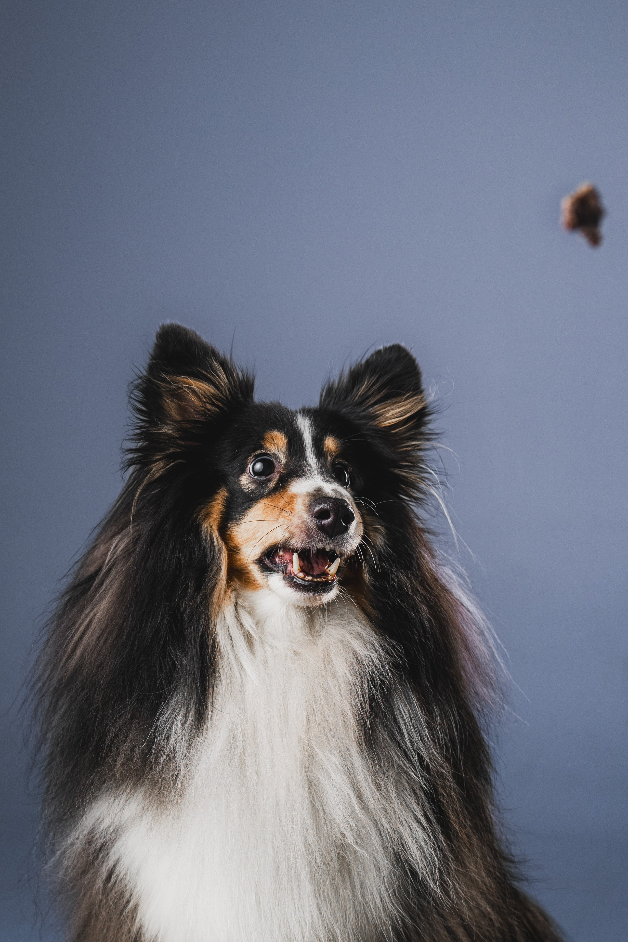 Воркшоп по импульсному свету