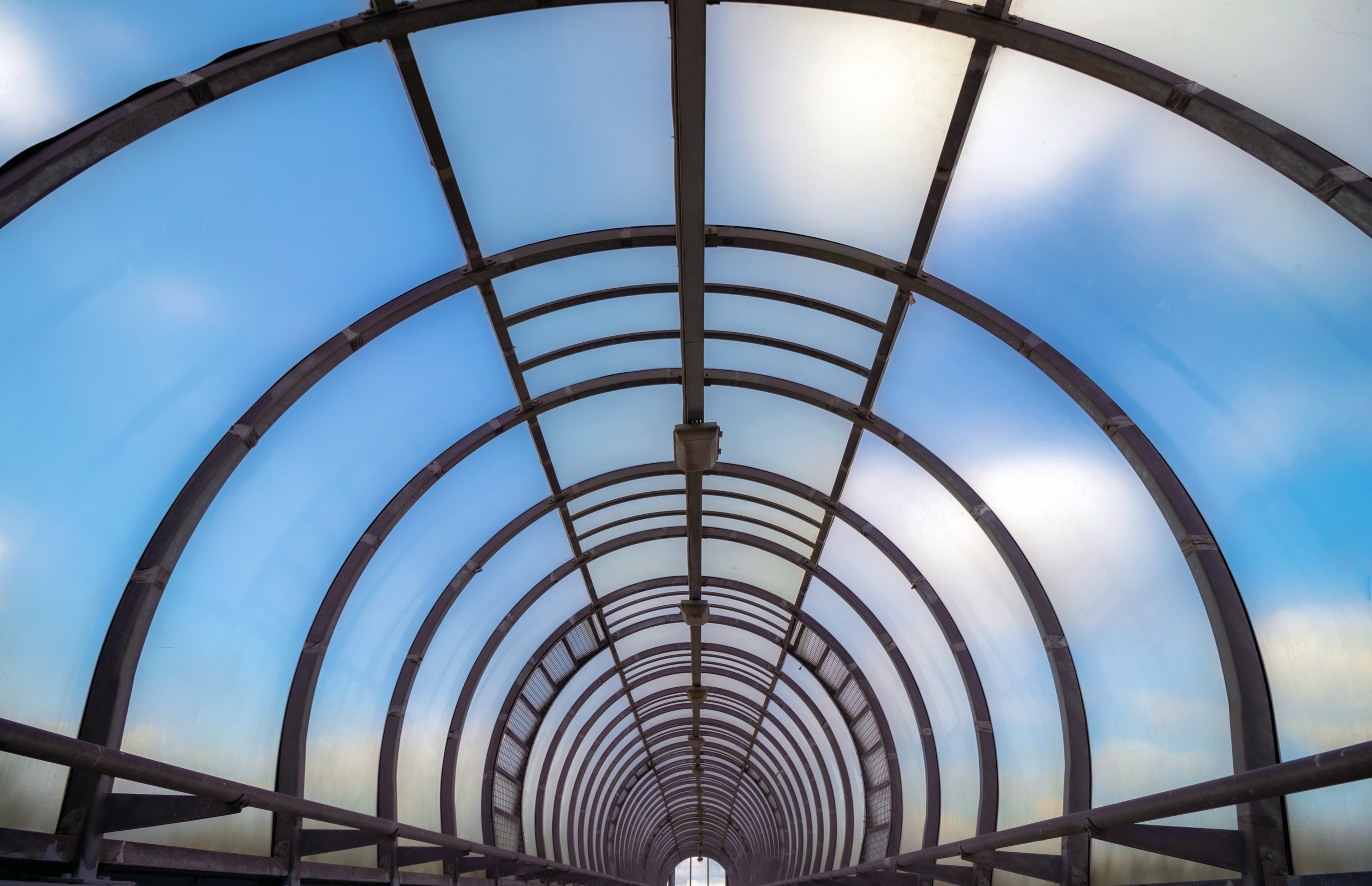 На досуге. Фотограф в Вязьме