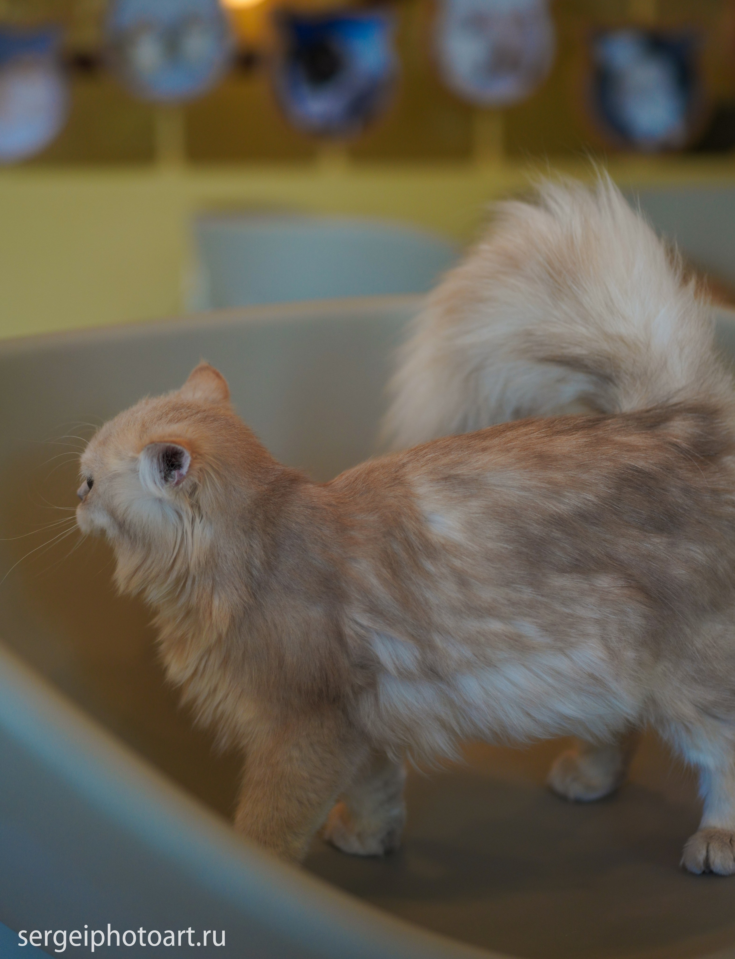 Дананг. Фотограф Сергей Кишкель Дананг Нячанг Фукуок