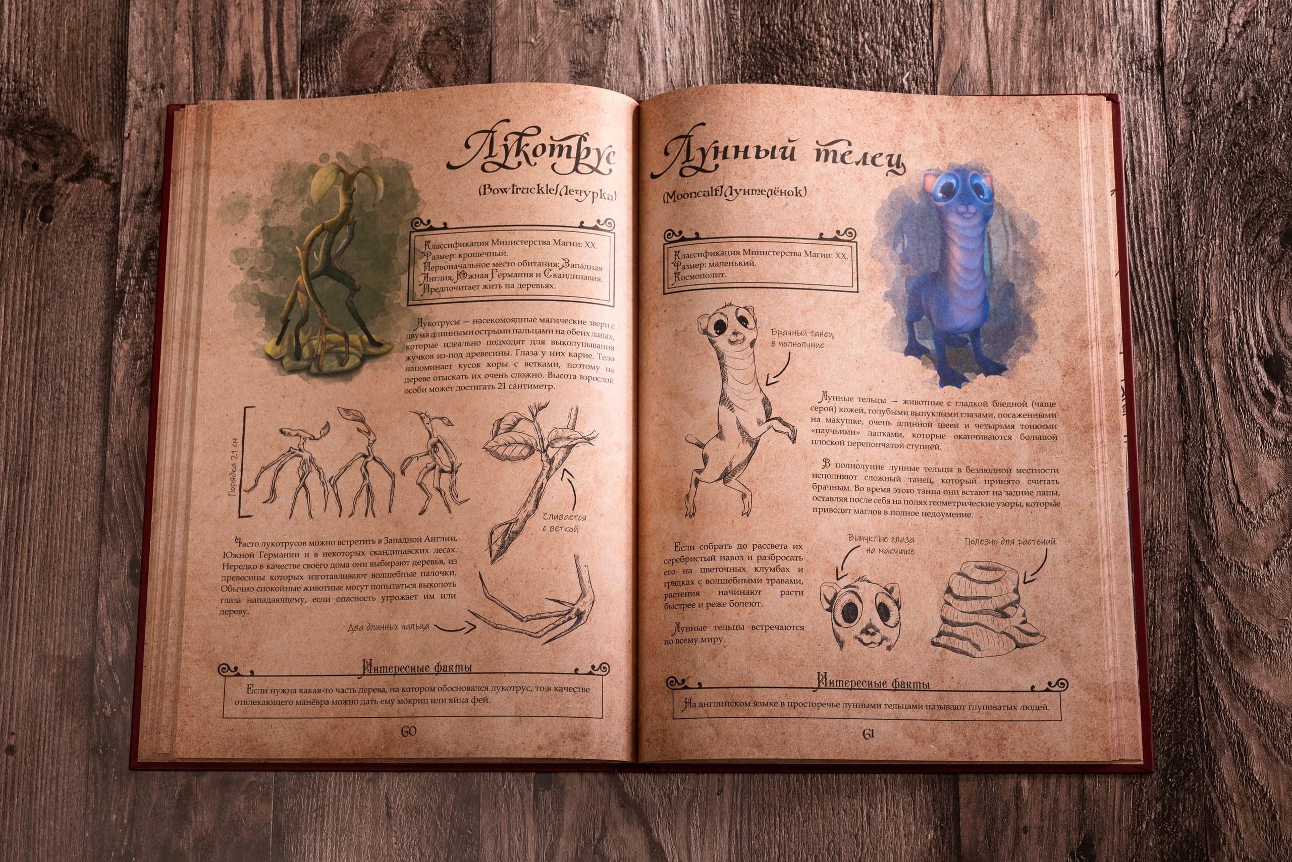 Книги по Гарри Поттеру. Предметный фотограф, фото для маркетплейсов Пятигорск, КМВ