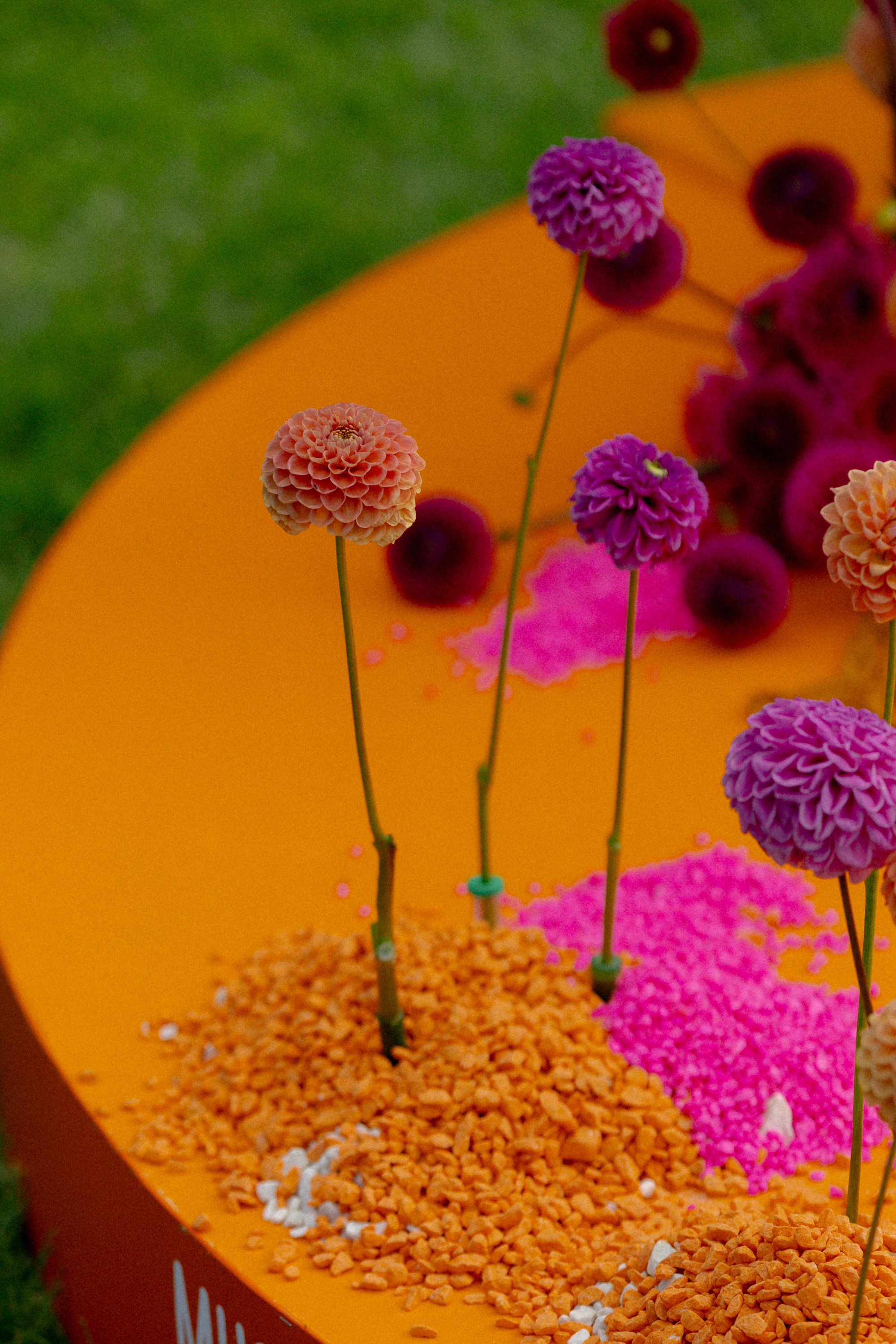 Daniil & Polina Wedding. Антон Прокопенков Свадебный Фотограф +7(916) 013-35-12