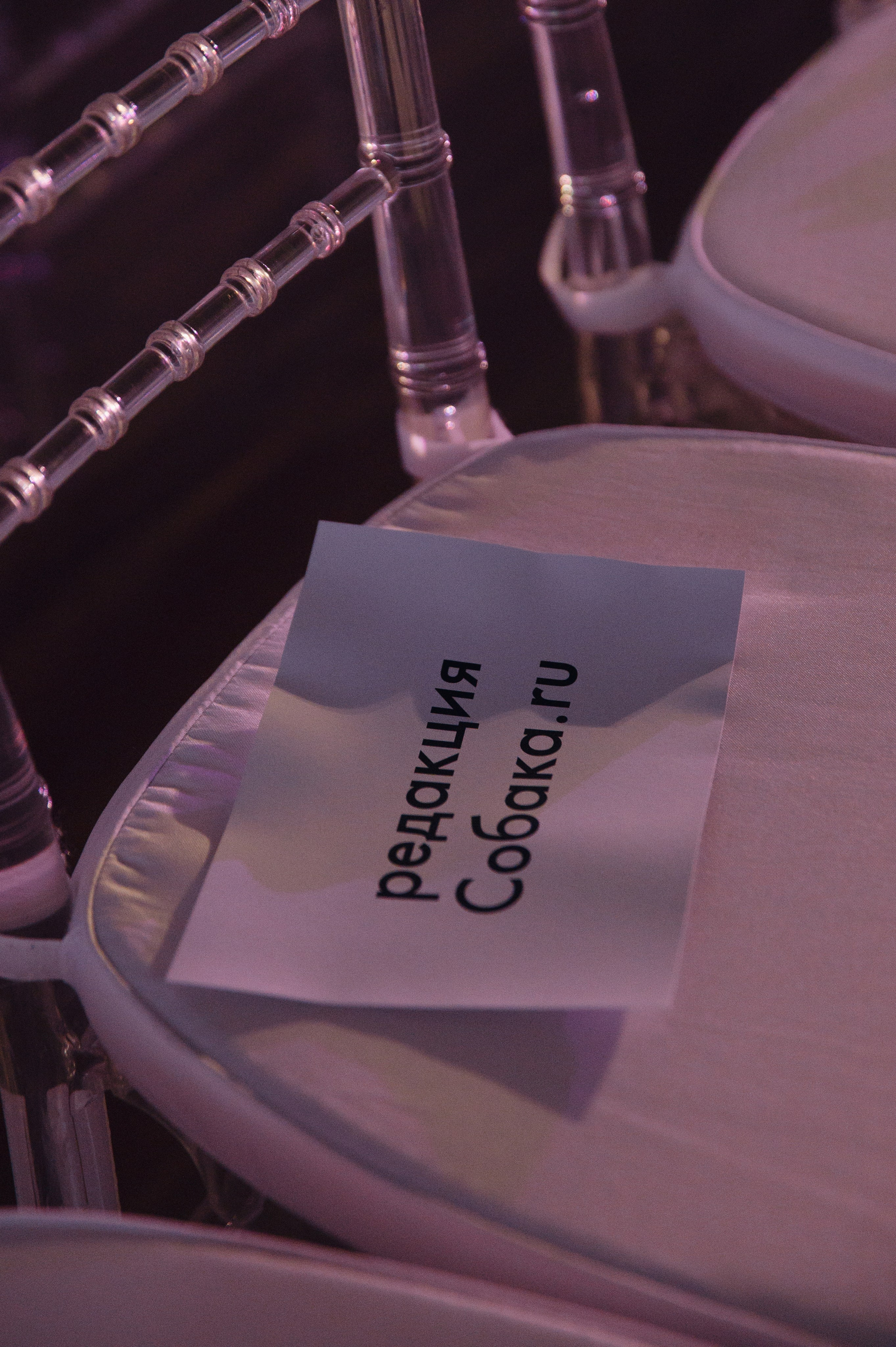 Бекстейдж показа «Новые Имена» собака.ru|ДЛТ. Портретный и репортажный фотограф в Санкт-Петербурге