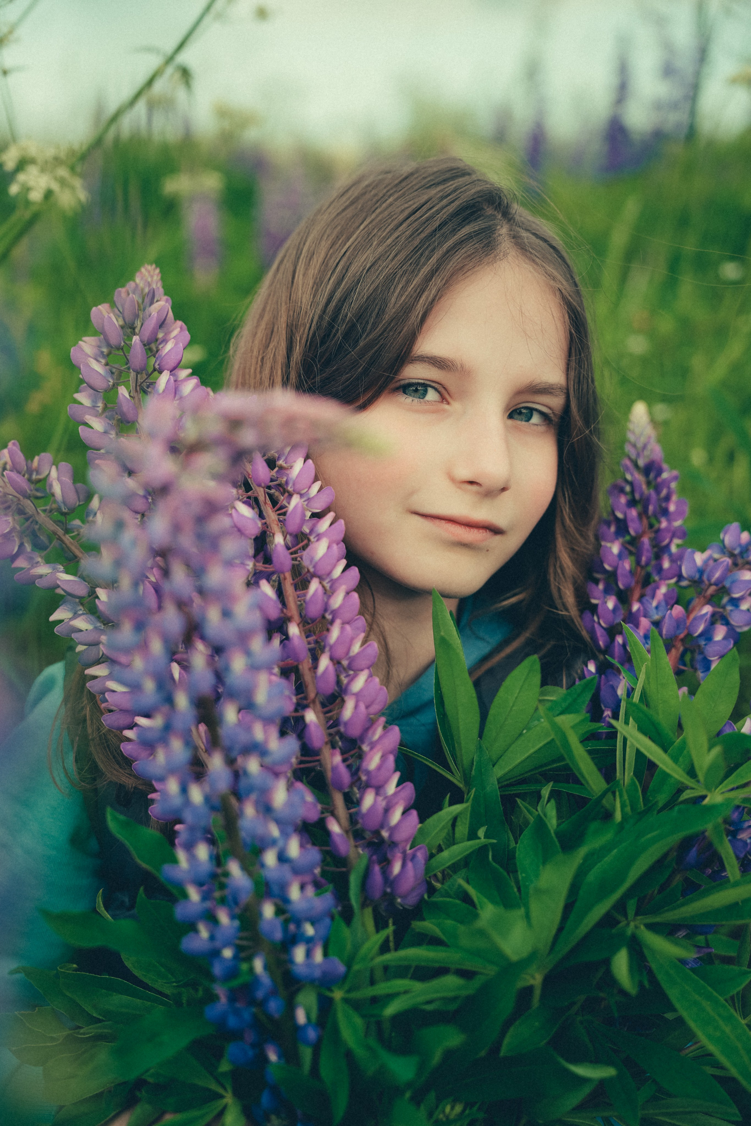 Люпиновое поле. Портретный фотограф в Санкт-Петербурге Дария Сыч