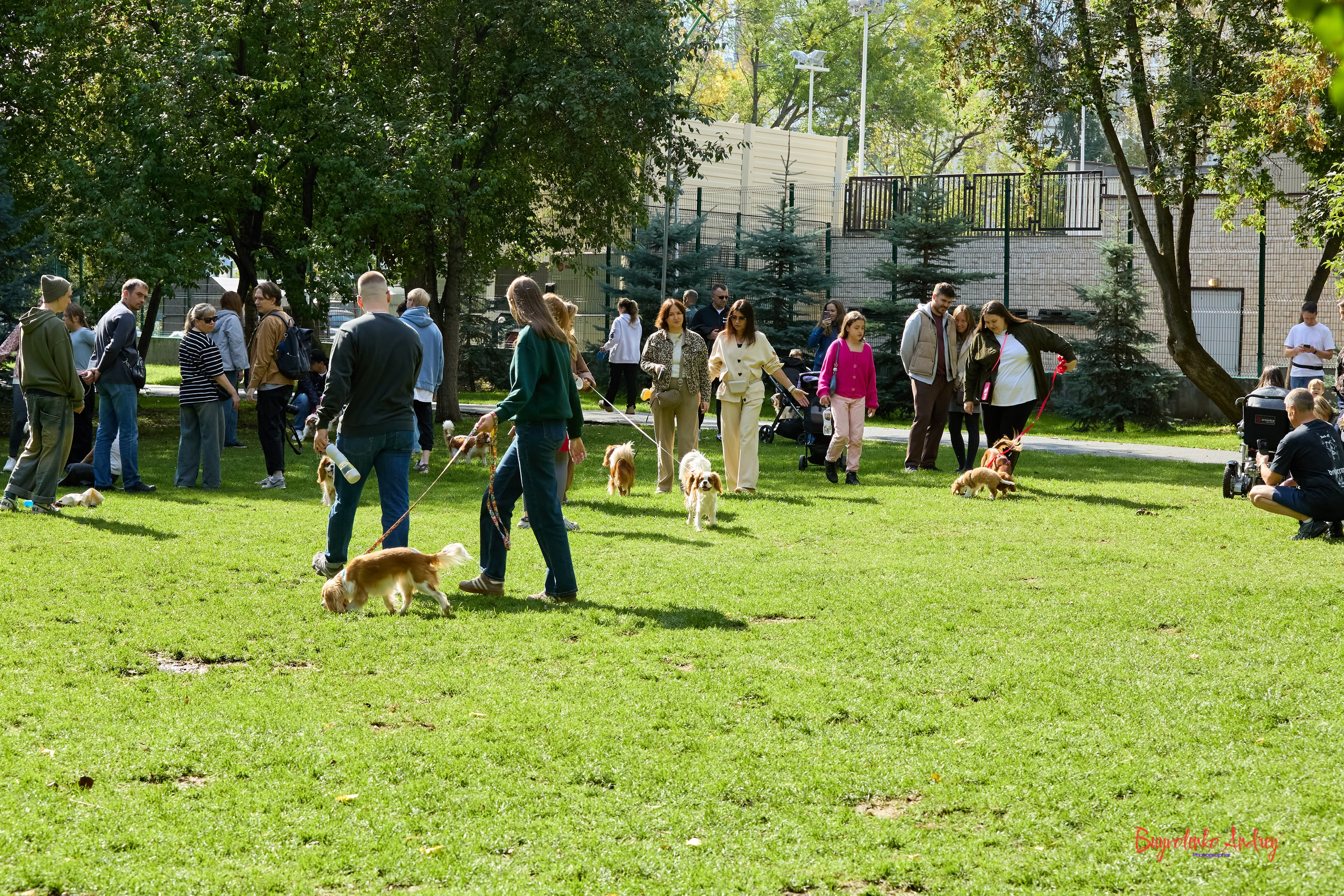 Фотопрогулка с кавалерами. Buyvolenko Andrey