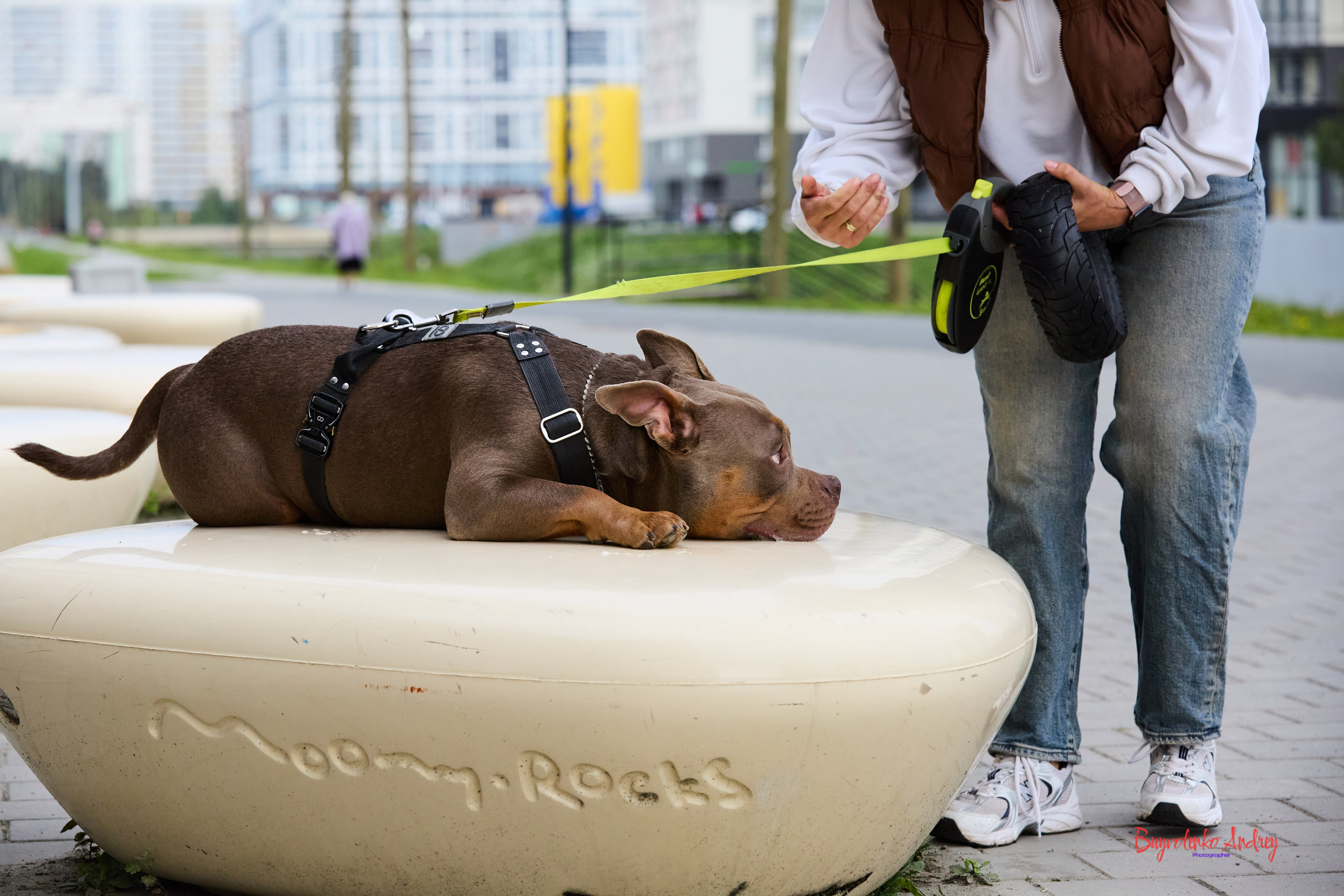 Проект фотопрогулка с хвостиком. Buyvolenko Andrey