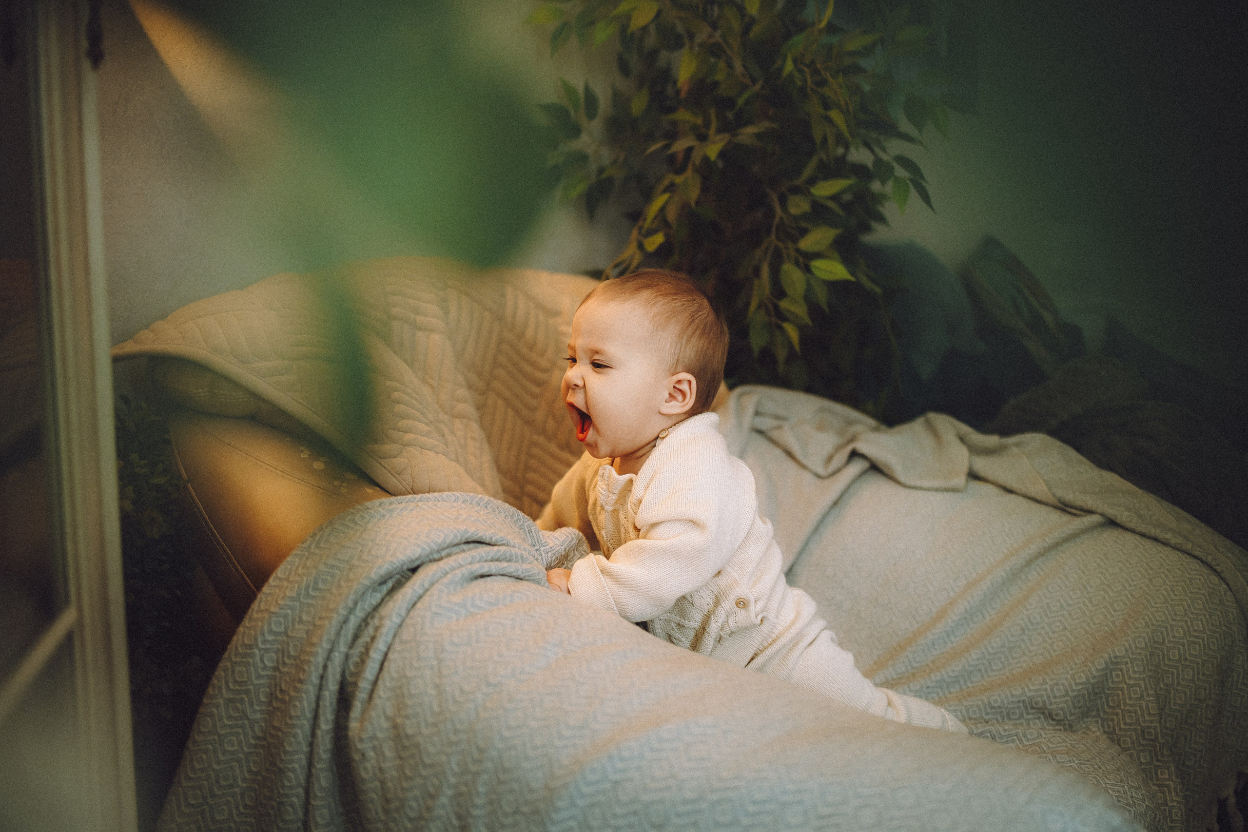 Топик и его семья