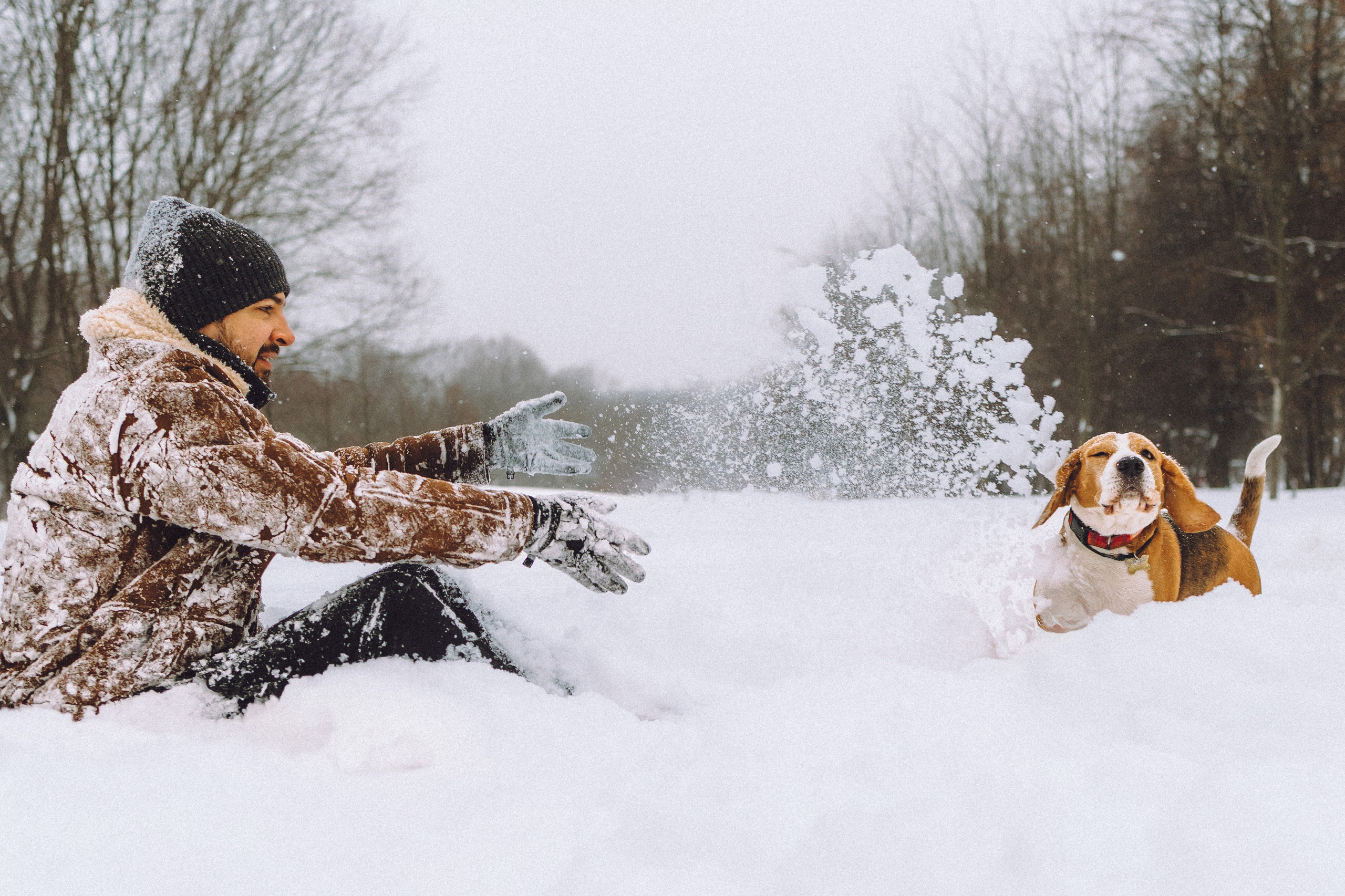 Роман, Портер и Коррес