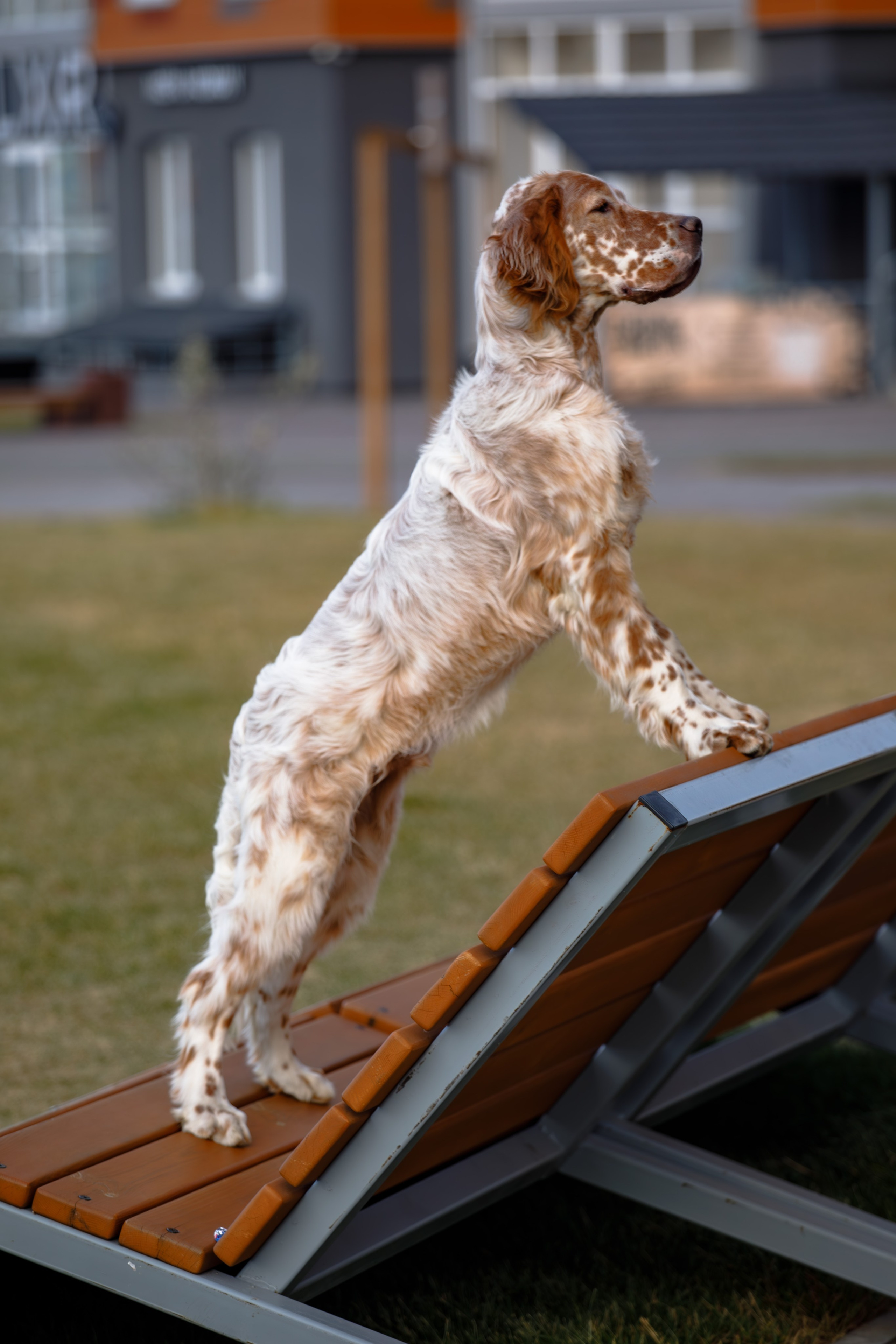 Андрей и Милан. Фотограф Екатерина Козловская