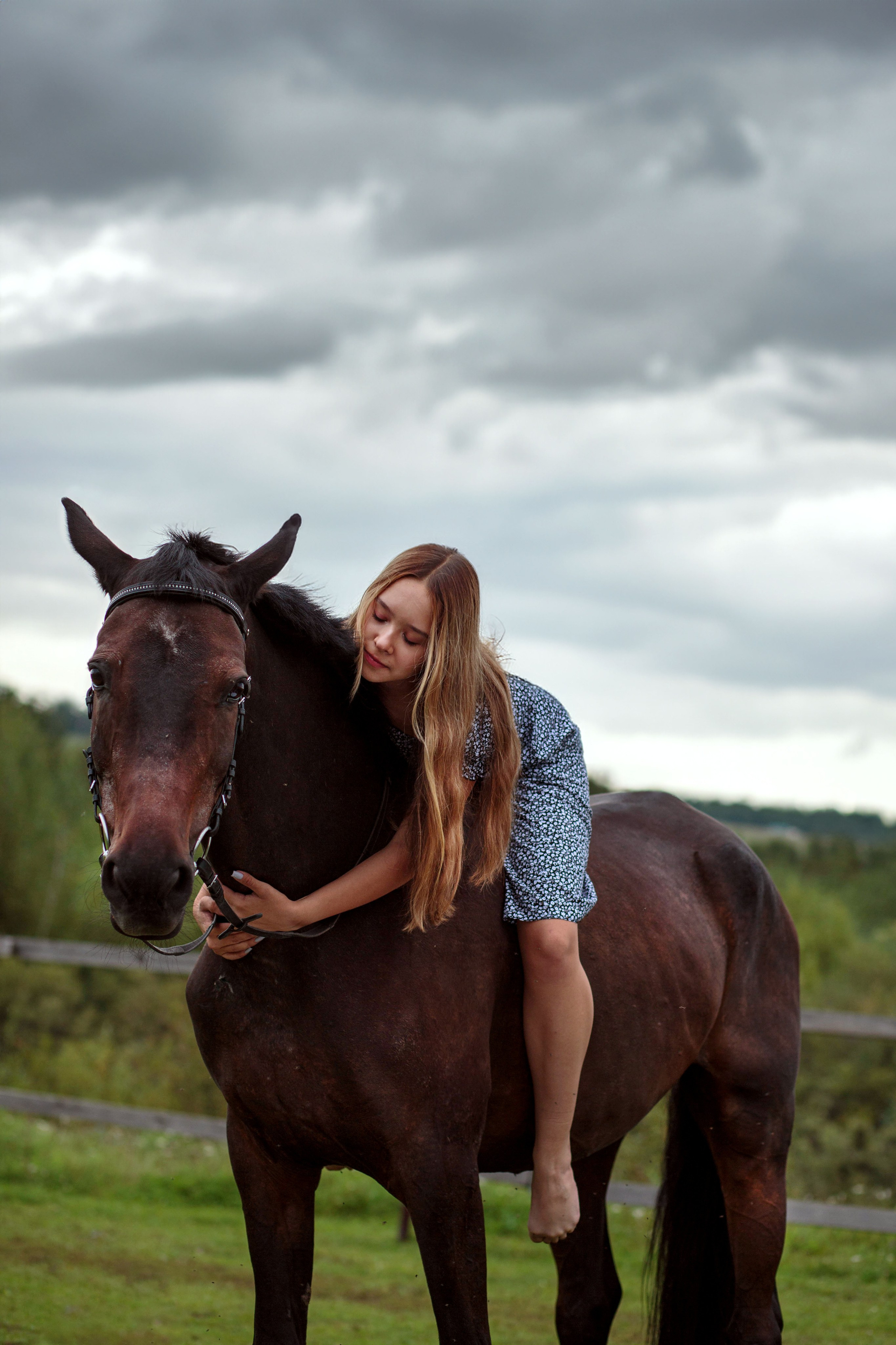 Конный двор. Конный фотограф в Красноярске — Любовь Похабова