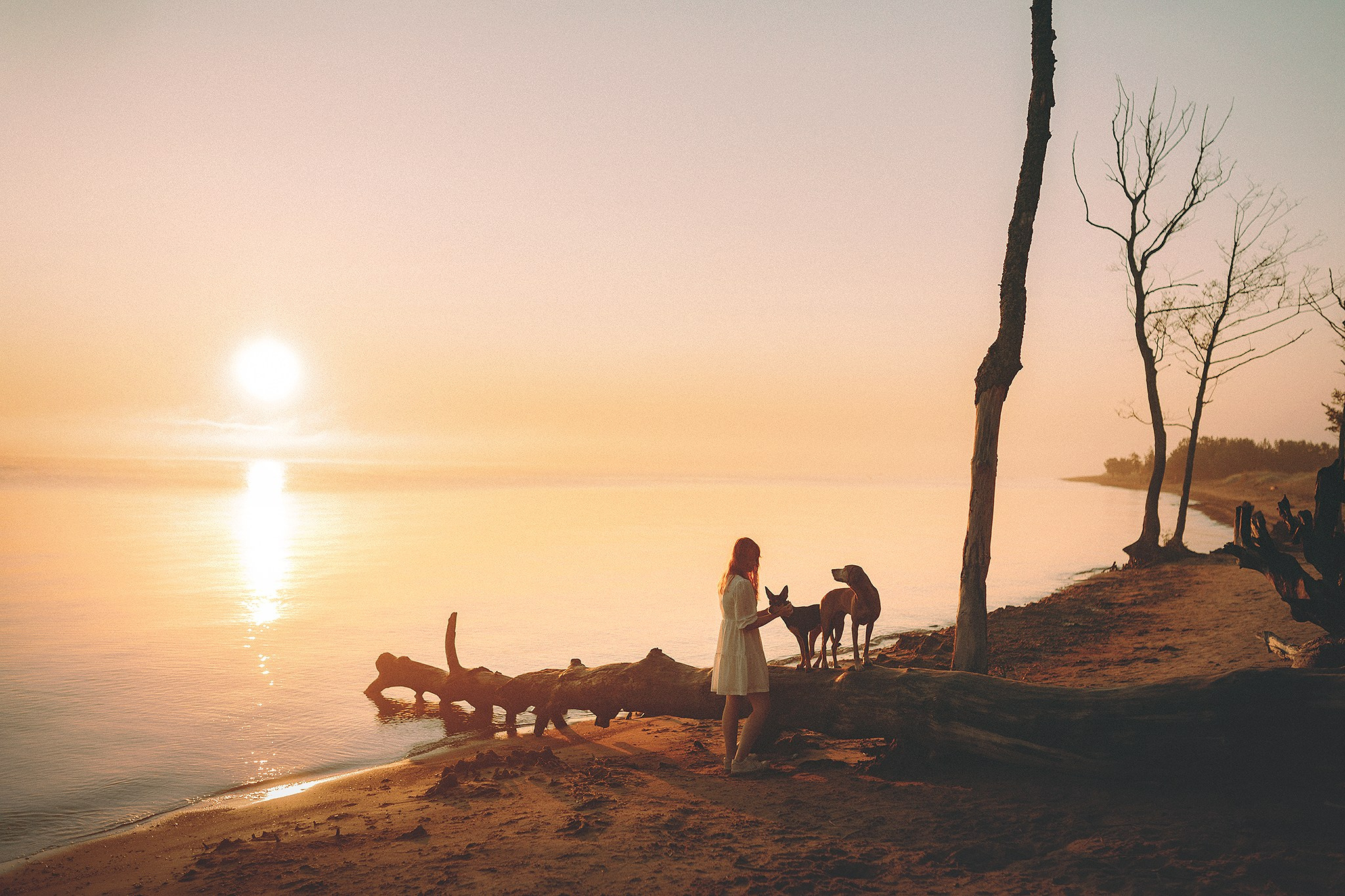 Паня, Ура, Алиса. Фотограф-анималист • love-story • Санкт-Петербург