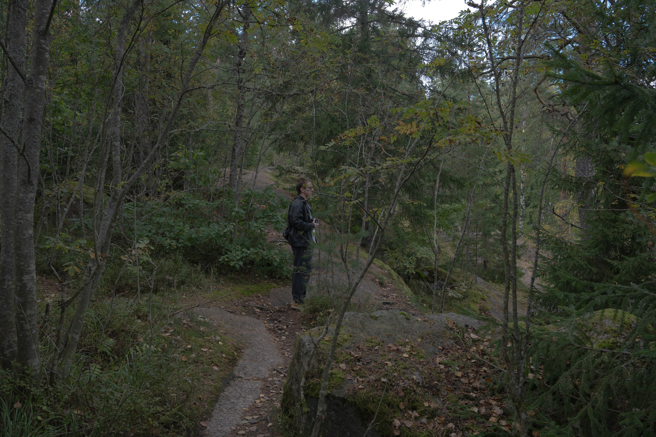 Monrepos. Shyjungle's Portfolio