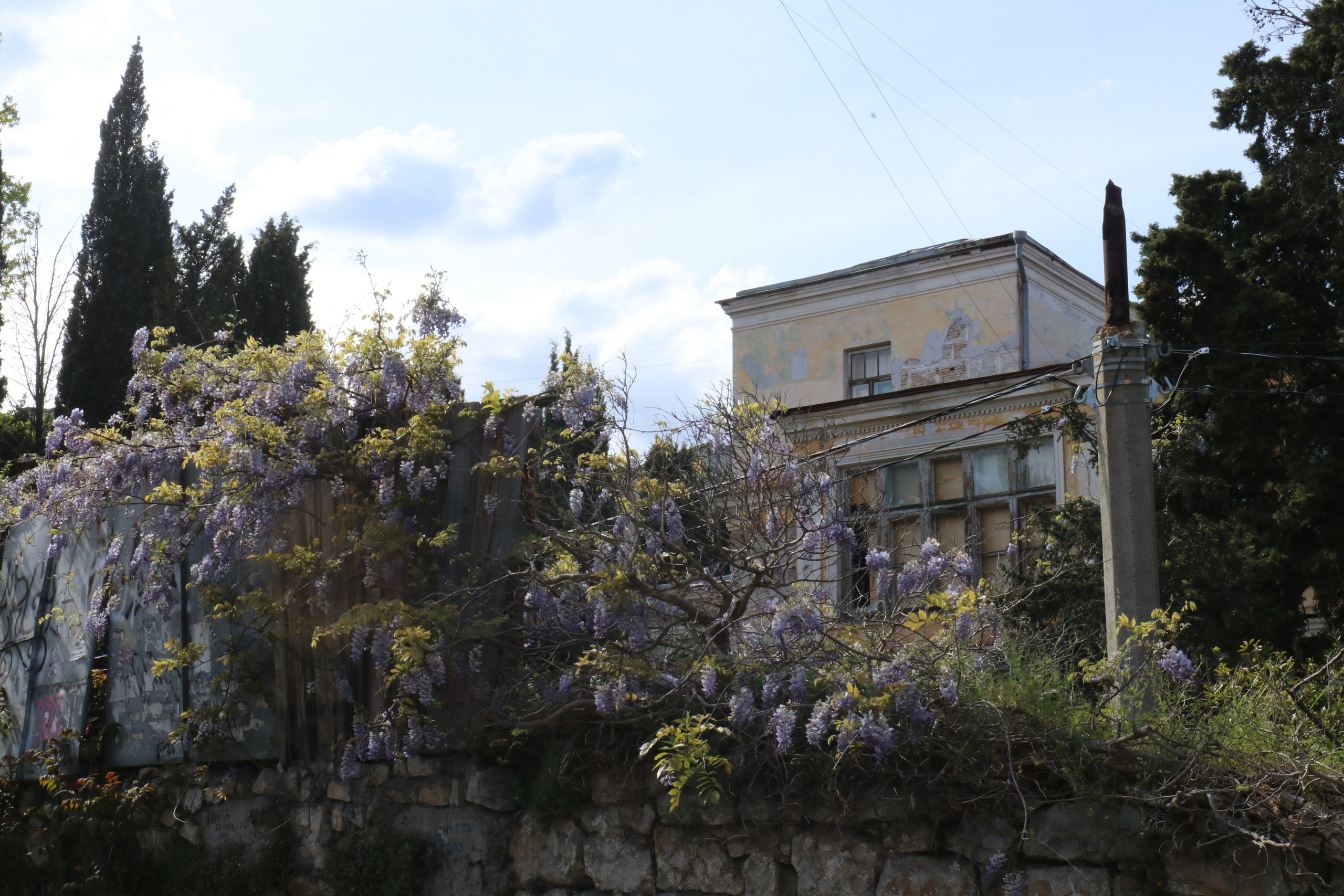 Крым. ЮБК (Севастополь, Кастрополь, Ялта). Май 2023. Путешественник-фотограф из Санкт-Петербурга Татьяна Свистулина