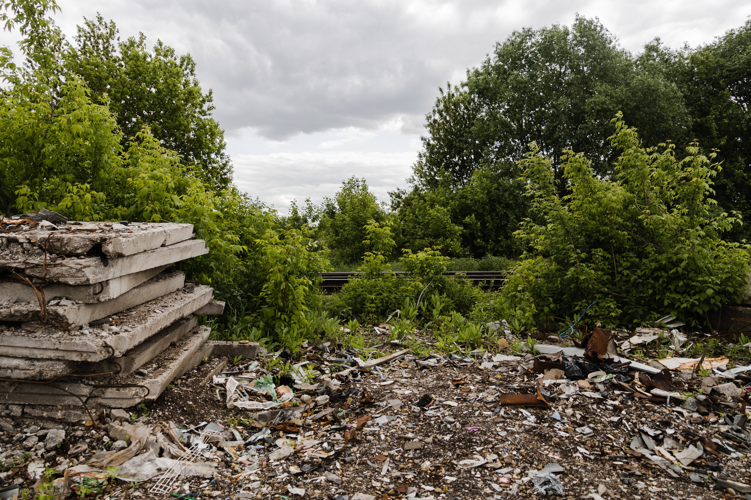 Открытый мир. DASHA KALNINA