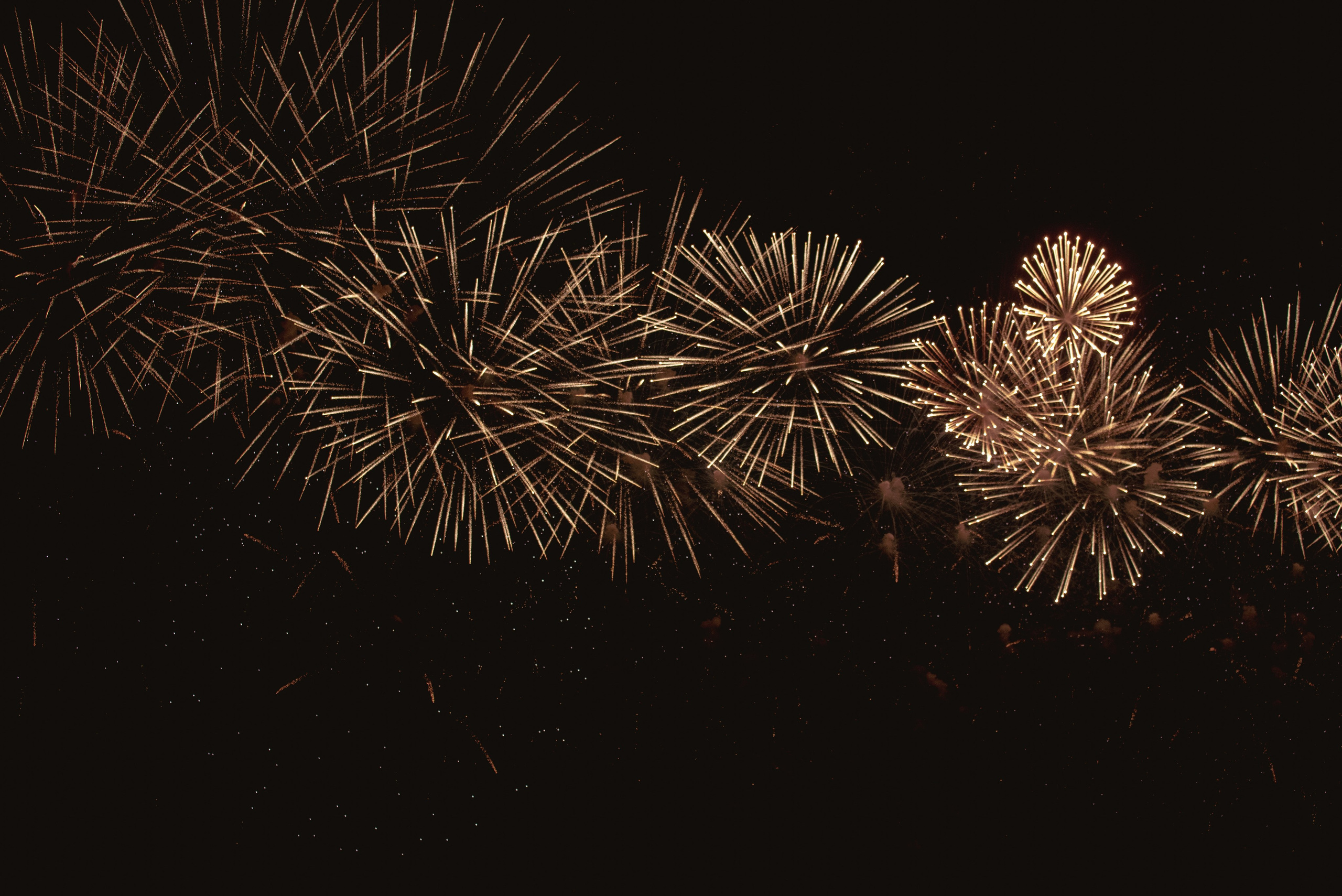 Алые Паруса'24