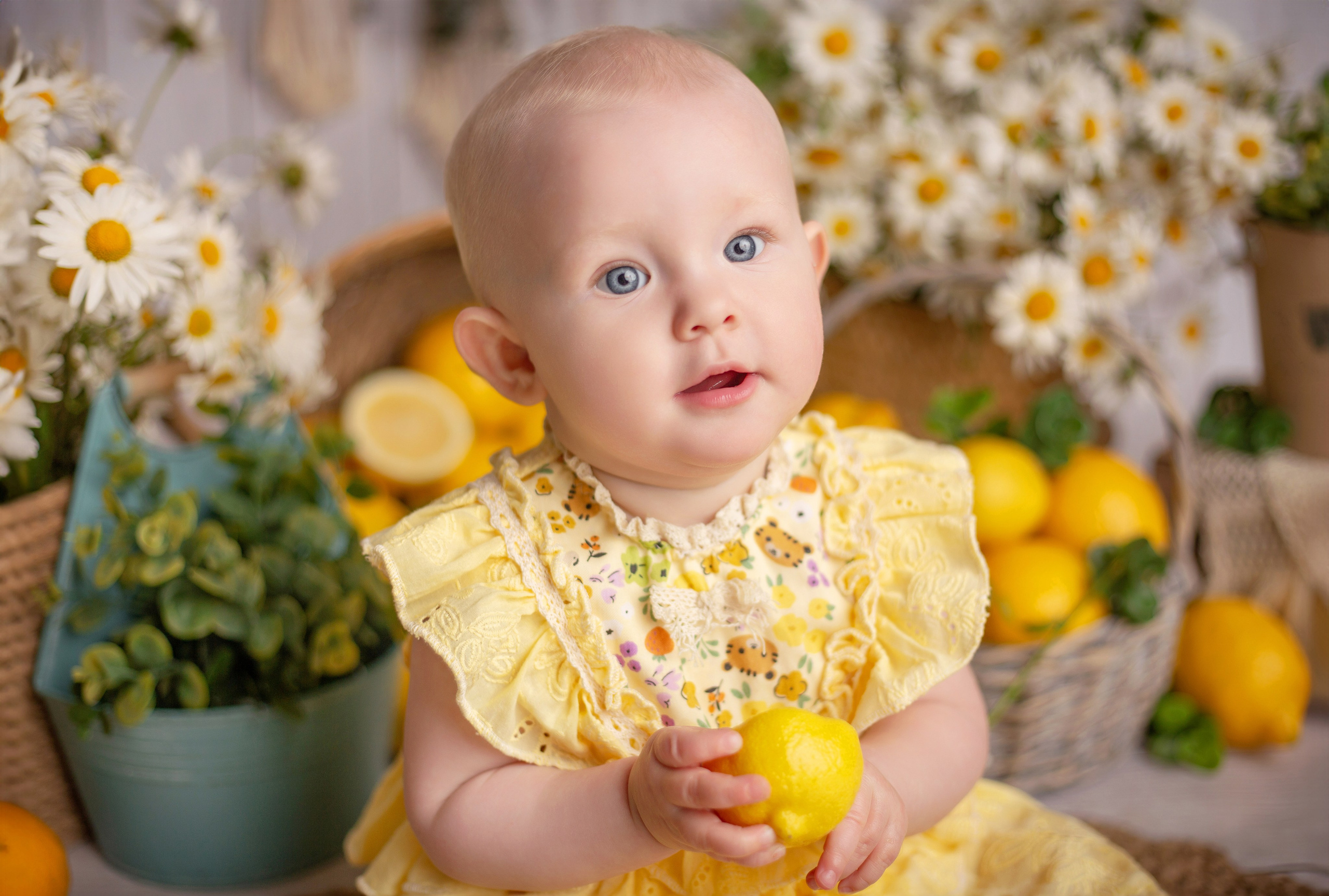 Фотопроекты. Детский фотограф в Няндоме Ариана Арсеньева