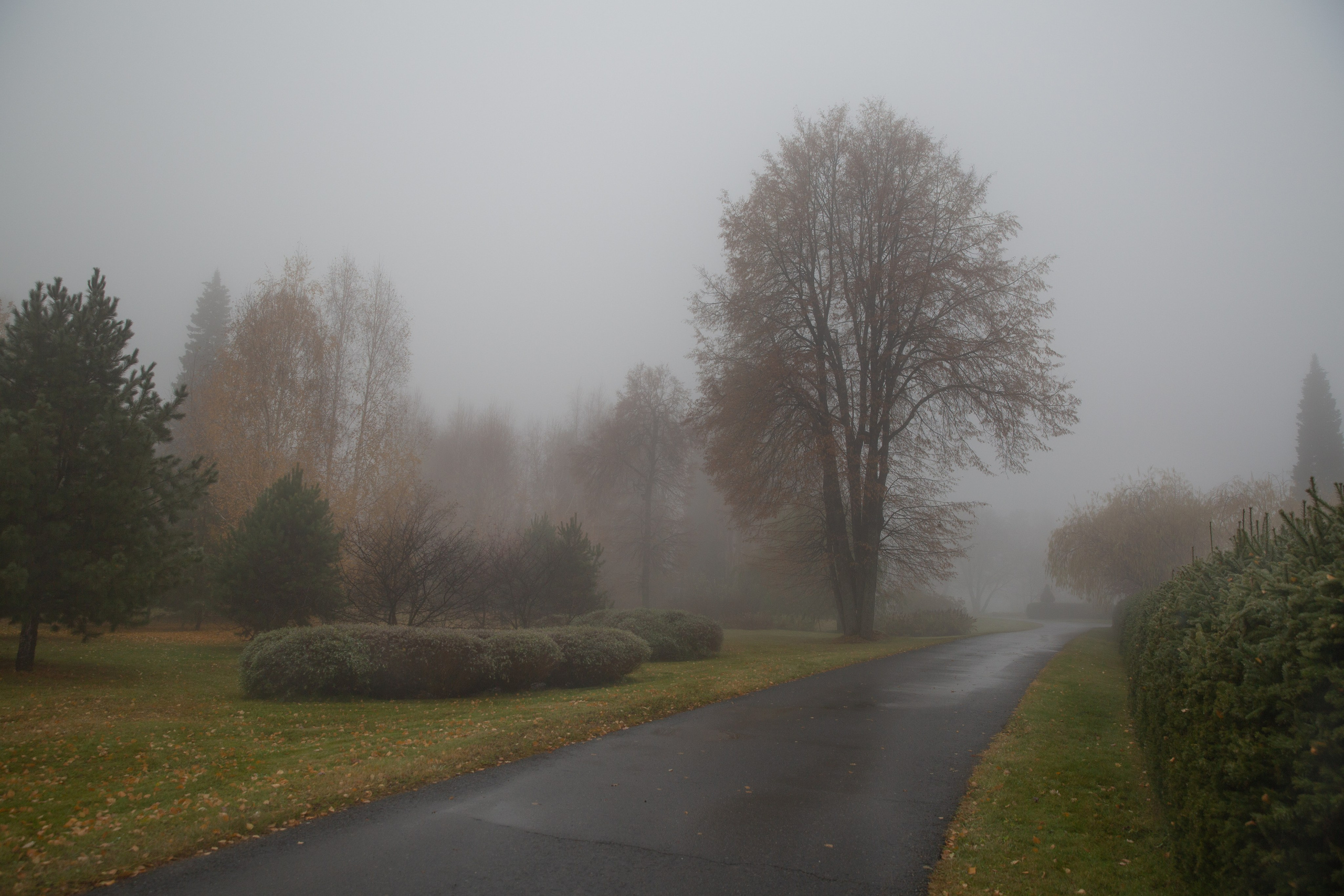 Тобольск. Мой фотомир