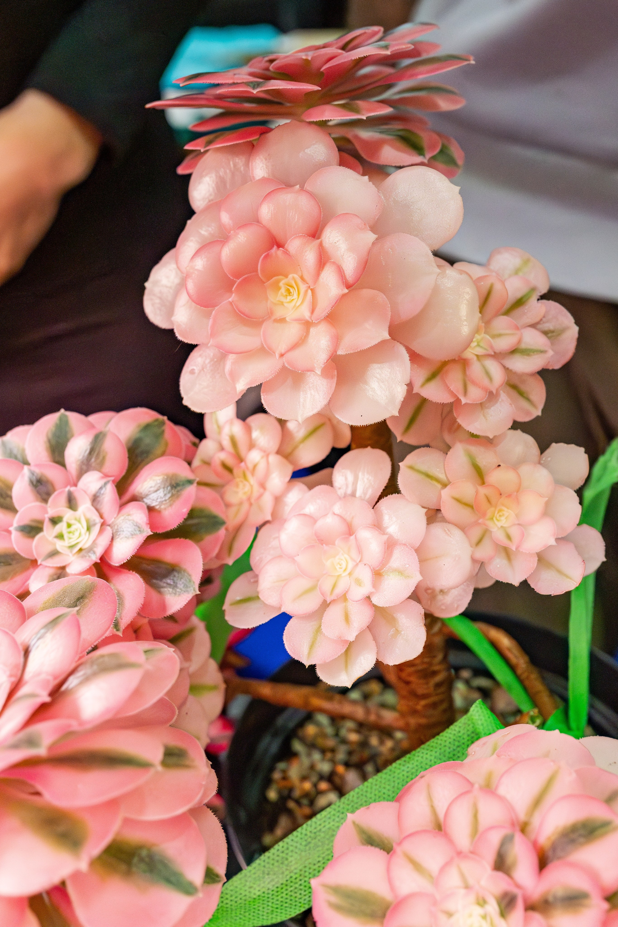 Монстериум апрель 2026. Александра Куликова фотограф, Москва