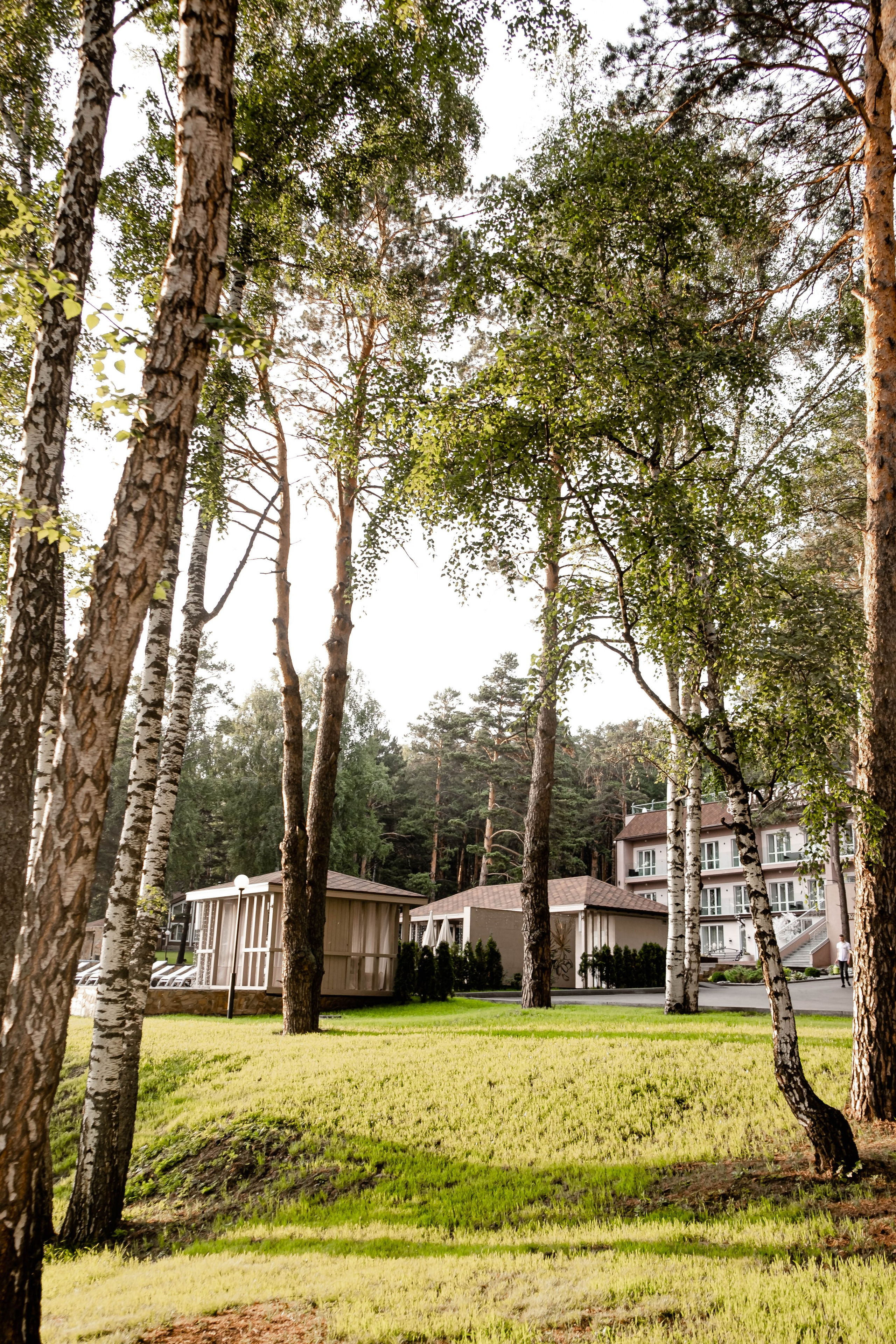 Александра + Максим. Свадебный и семейный фотограф в Новосибирске, Санкт-Петербурге, Москве