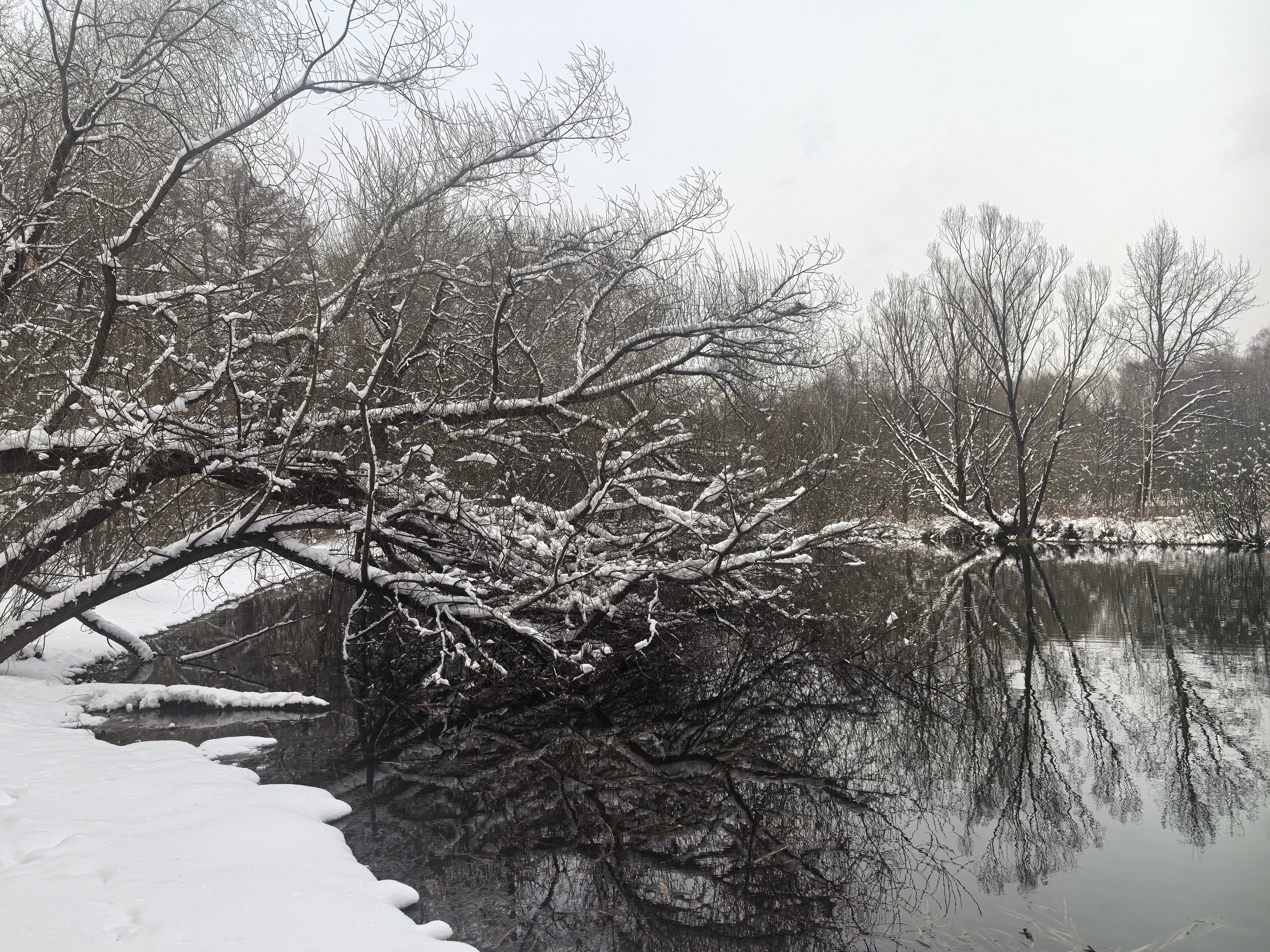 Покровско-Стрешнево. Школьные выпускные альбомы в Москве Марина Николаева