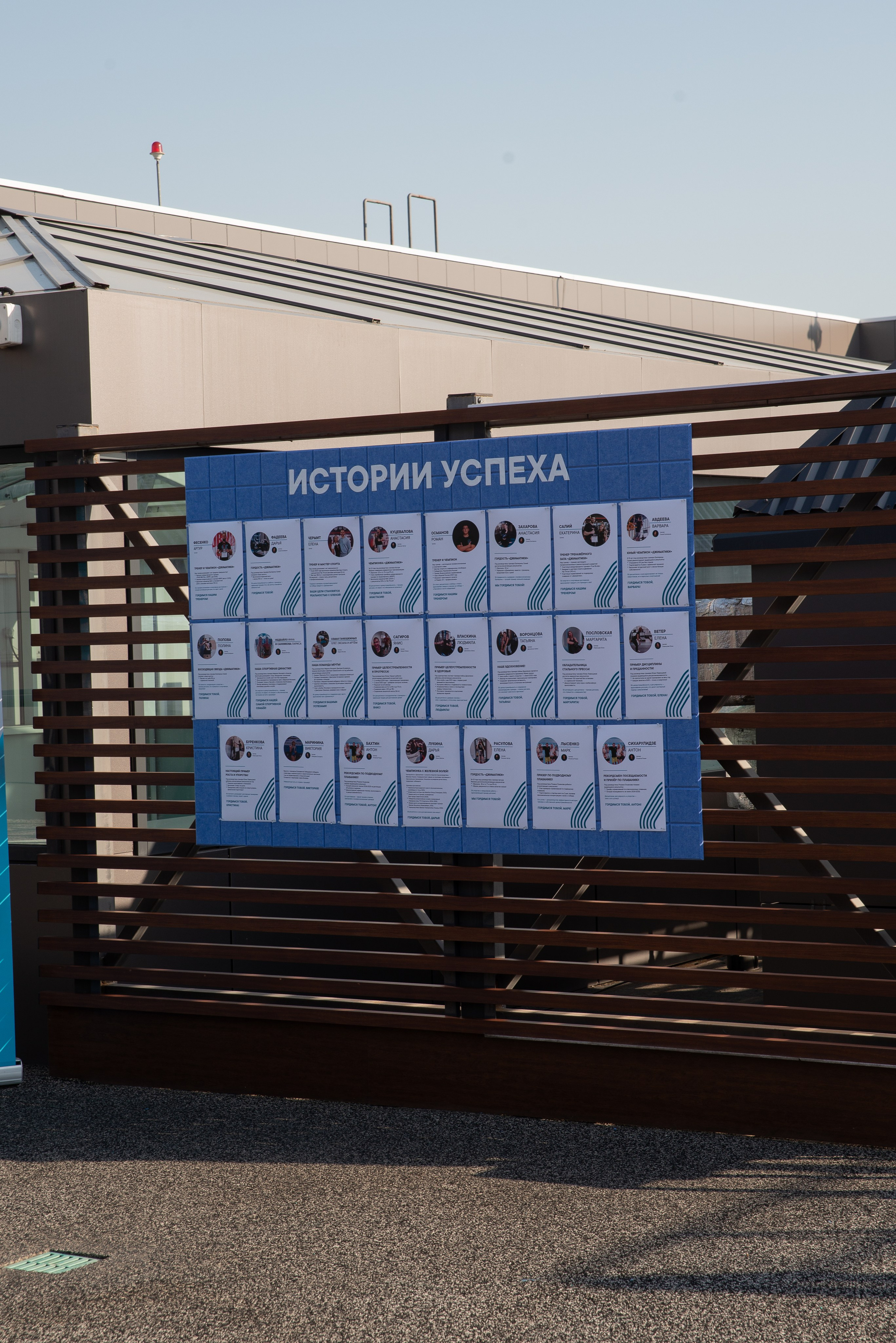 Джиматика 5 лет