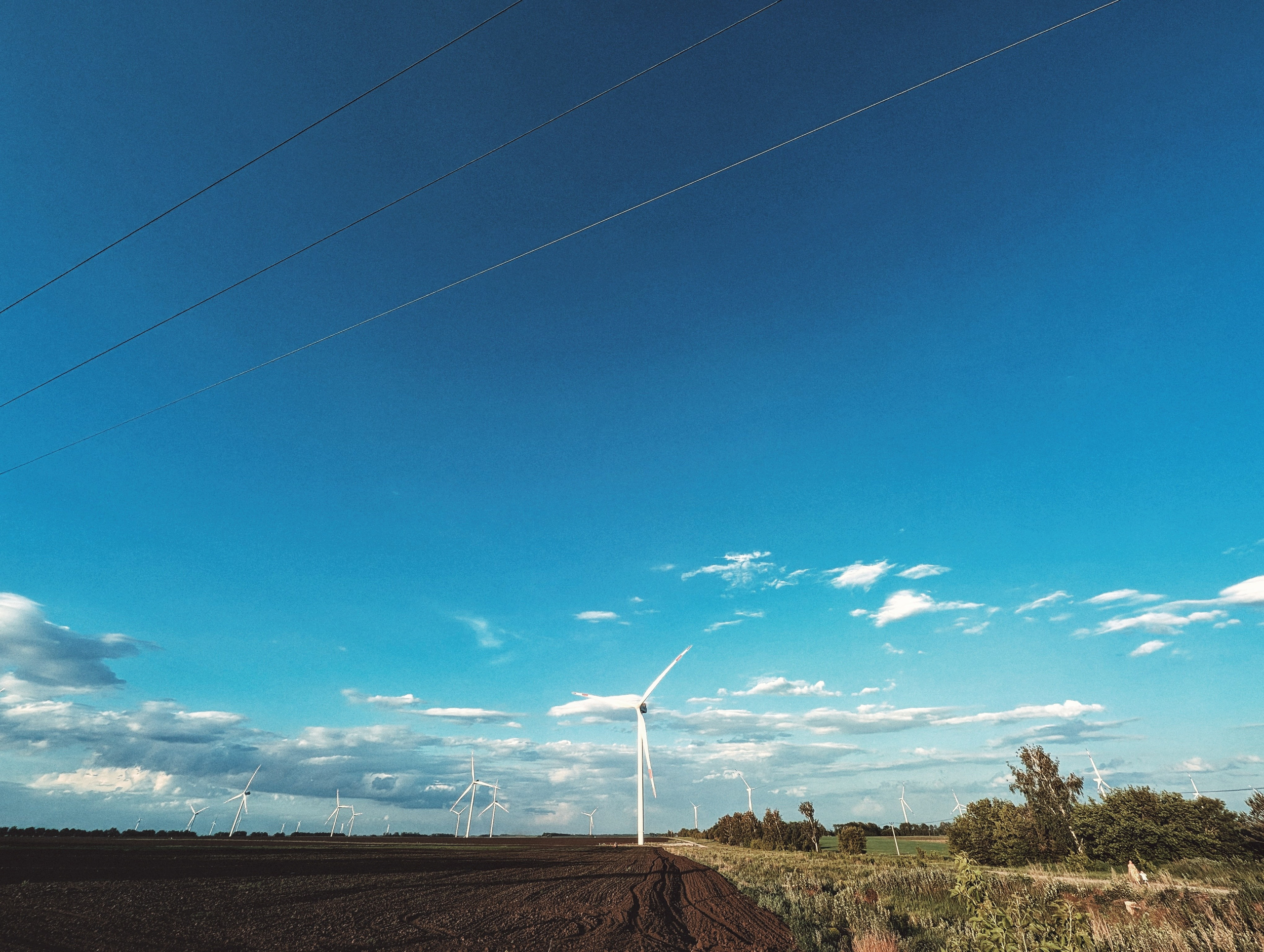 Вдохновение. Ph___tina