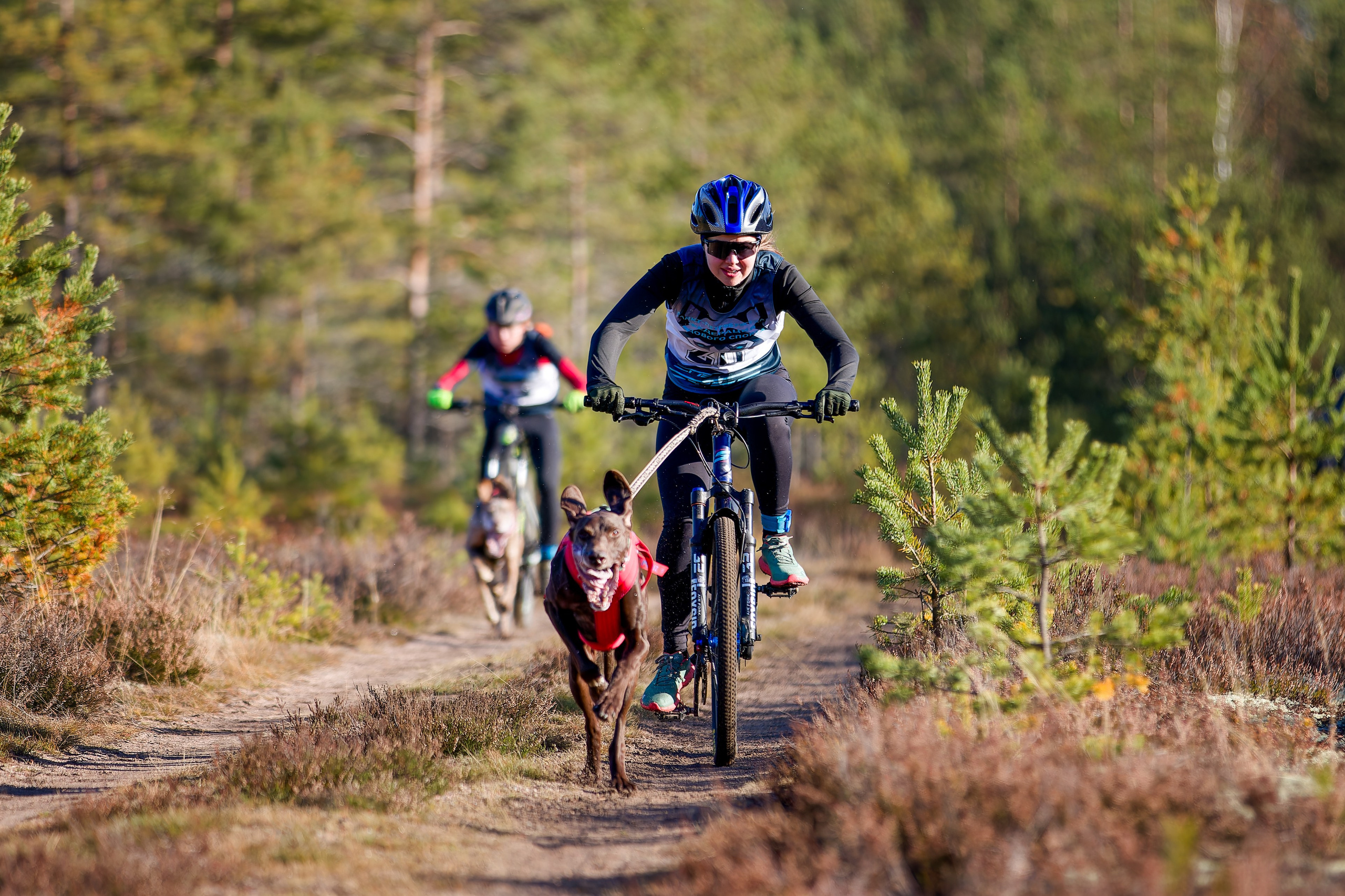 Чемпионат Санкт-Петербурга осень 2025. Irenephoto.ru