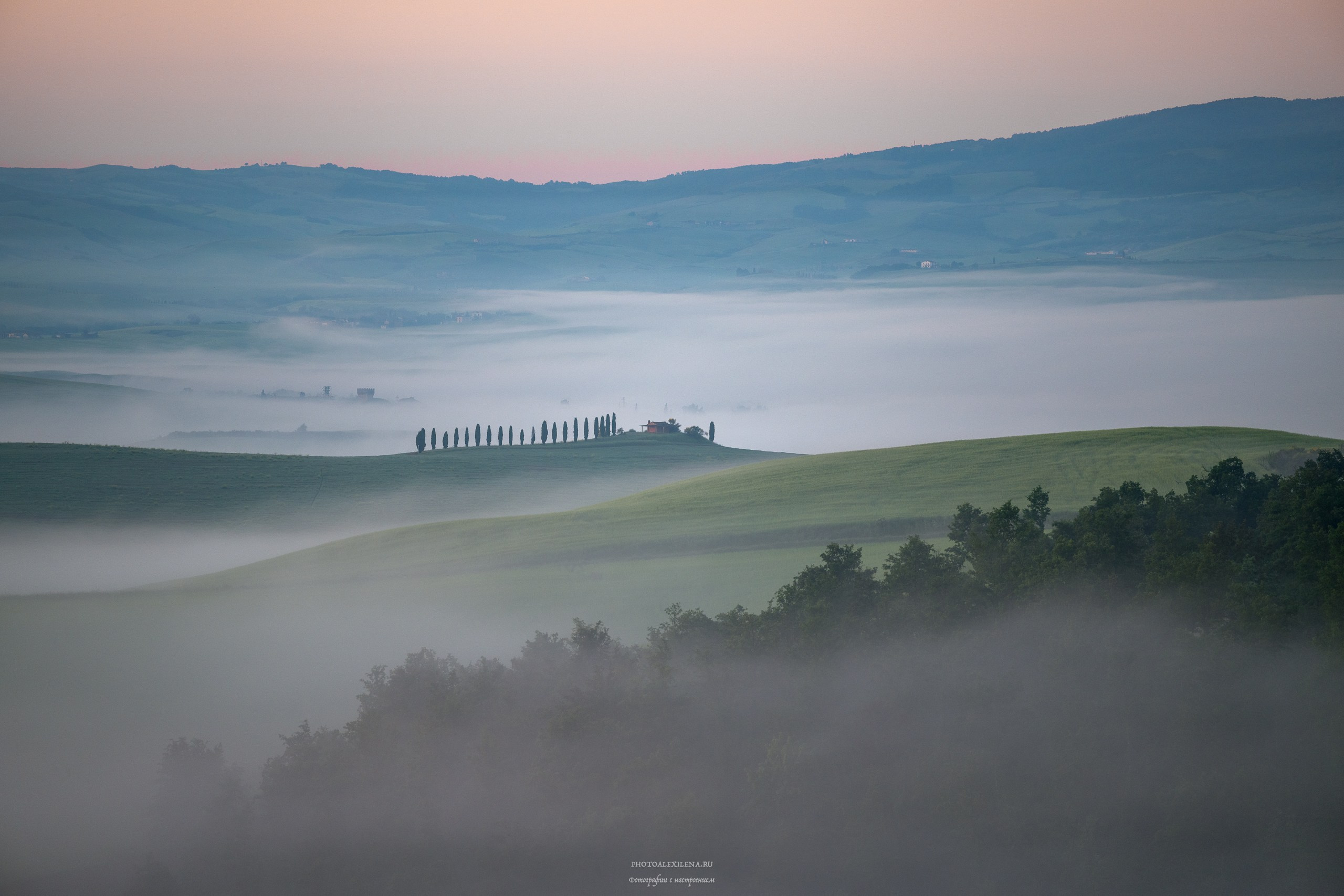 Авторская фотография для интерьеров