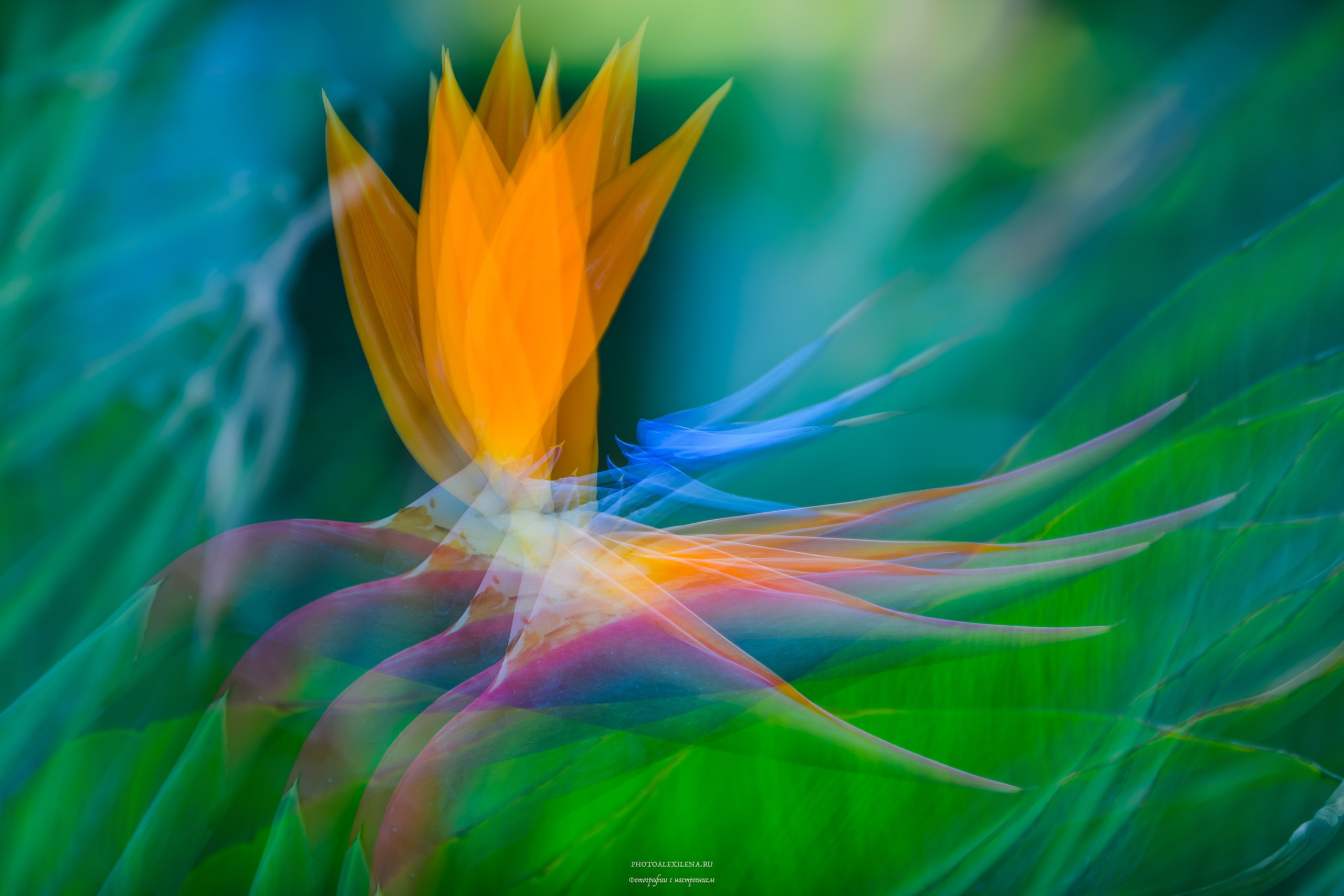 Четвёртое измерение. Авторские стильные фотокартины