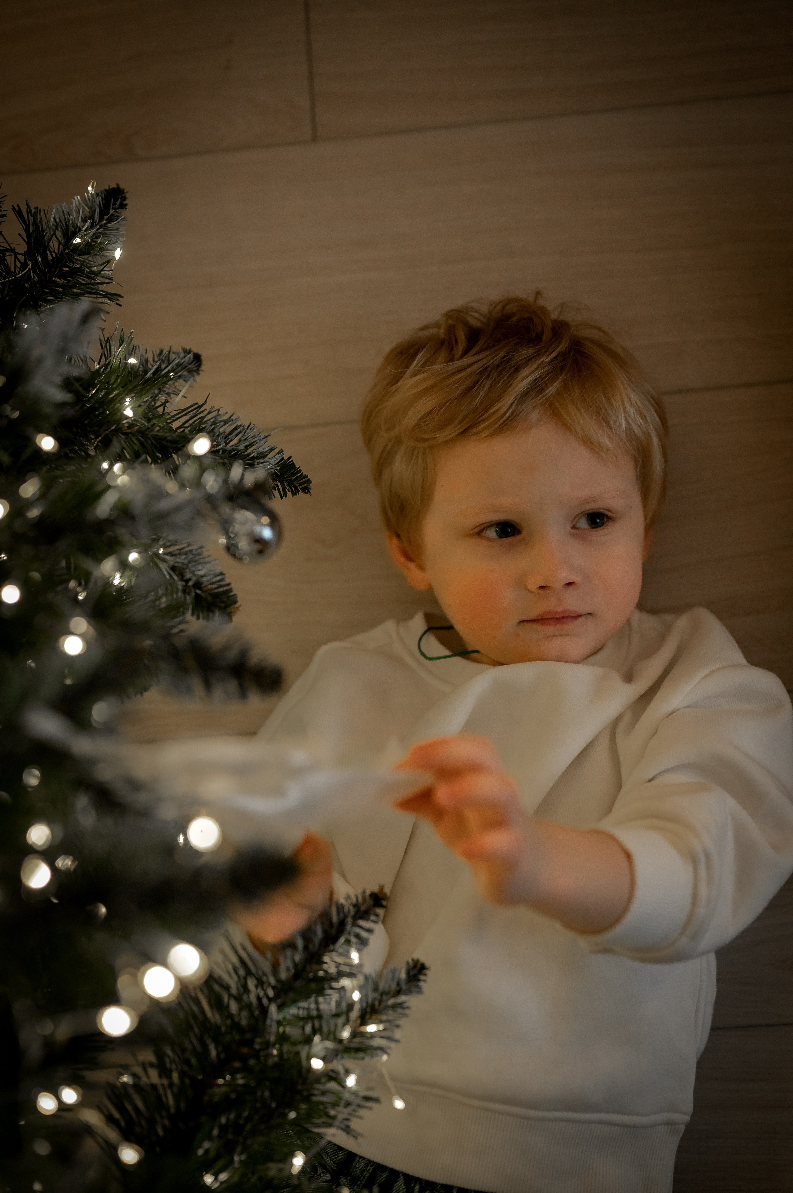 Домашняя новогодняя фотосессия. Фотограф новорождённых, семейный, школьный в городе Калуге Евгения