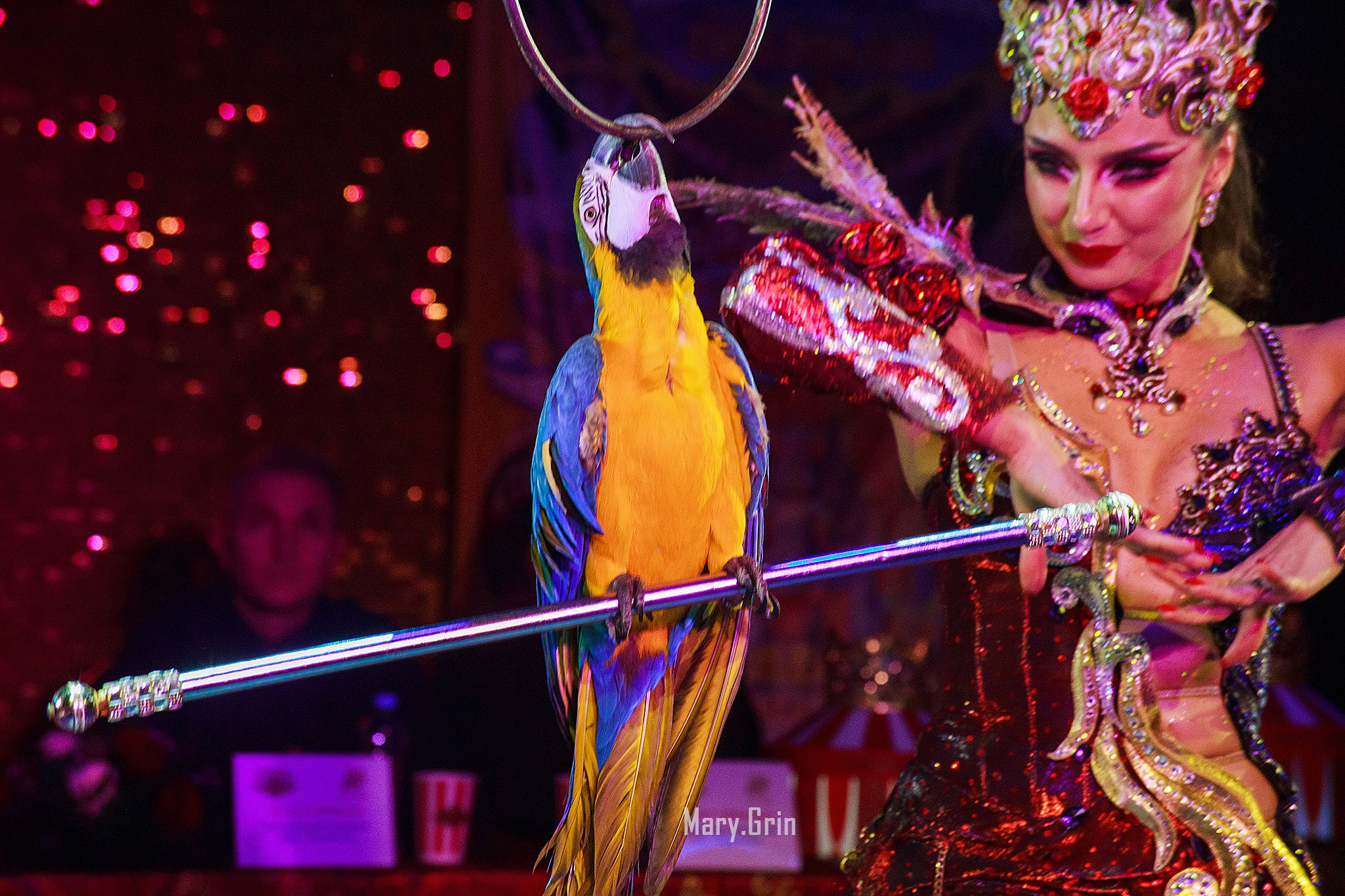 Цирк Гии Эрадзе. Детский и семейный фотограф, фотограф мероприятий Нижний Новгород