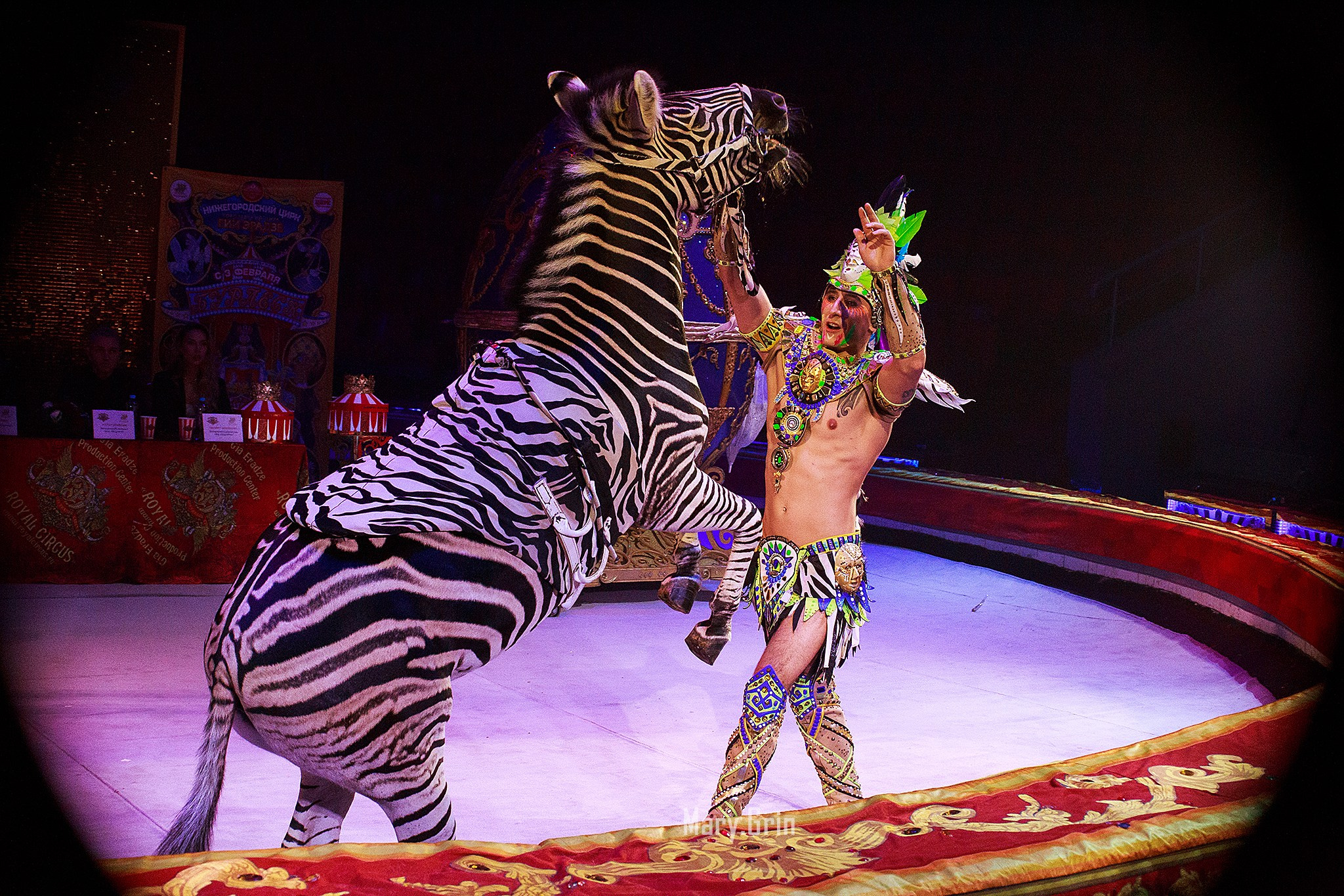 Цирк Гии Эрадзе. Детский и семейный фотограф, фотограф мероприятий Нижний Новгород